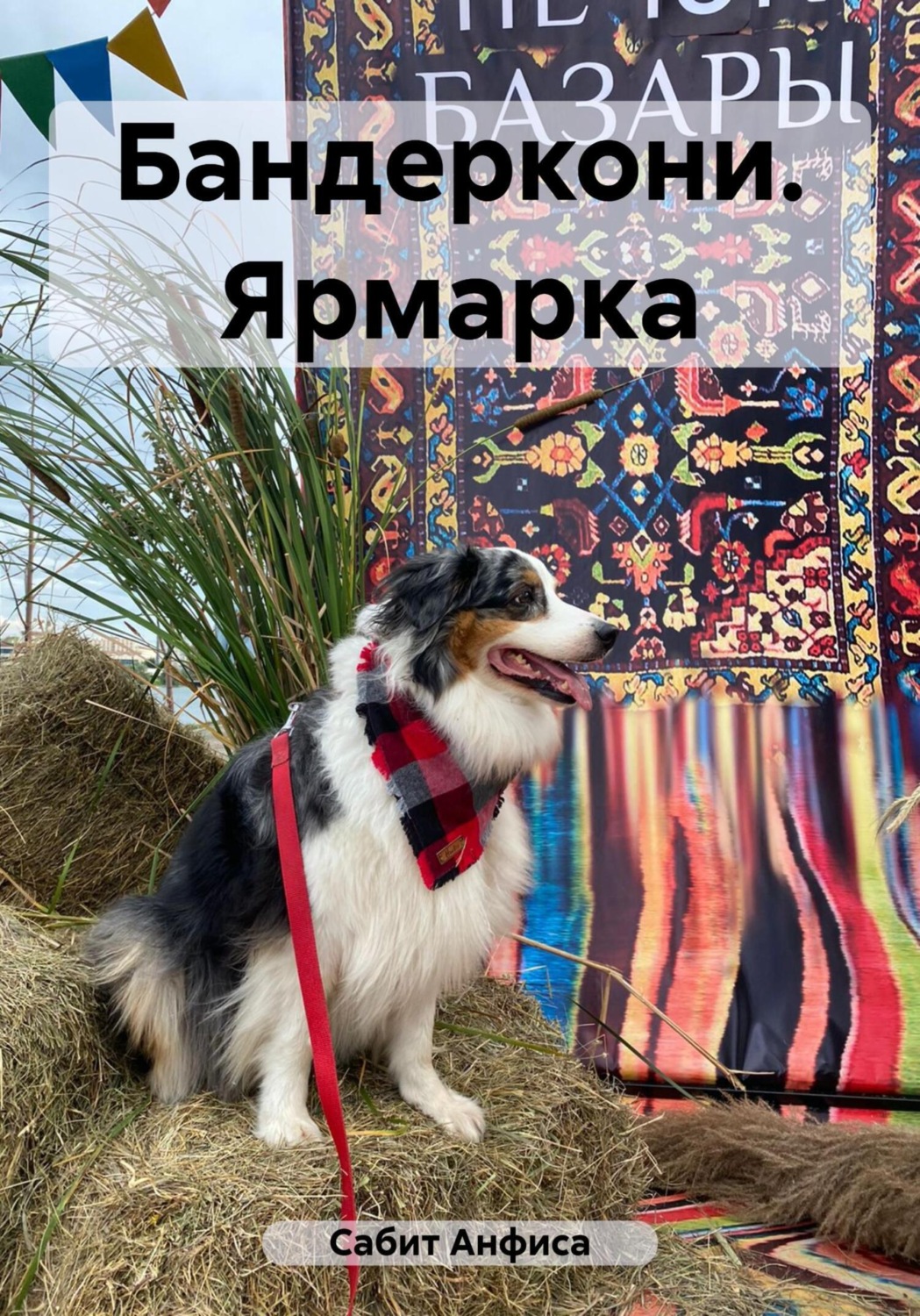 Обложка книги «Бандеркони. Ярмарка»