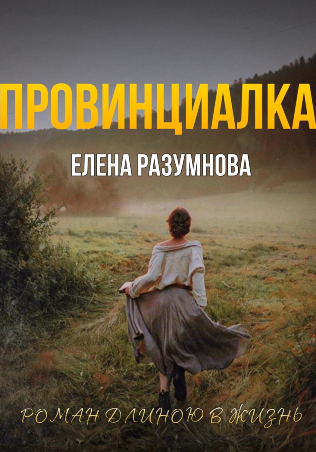 Обложка книги «ПРОВИНЦИАЛКА»