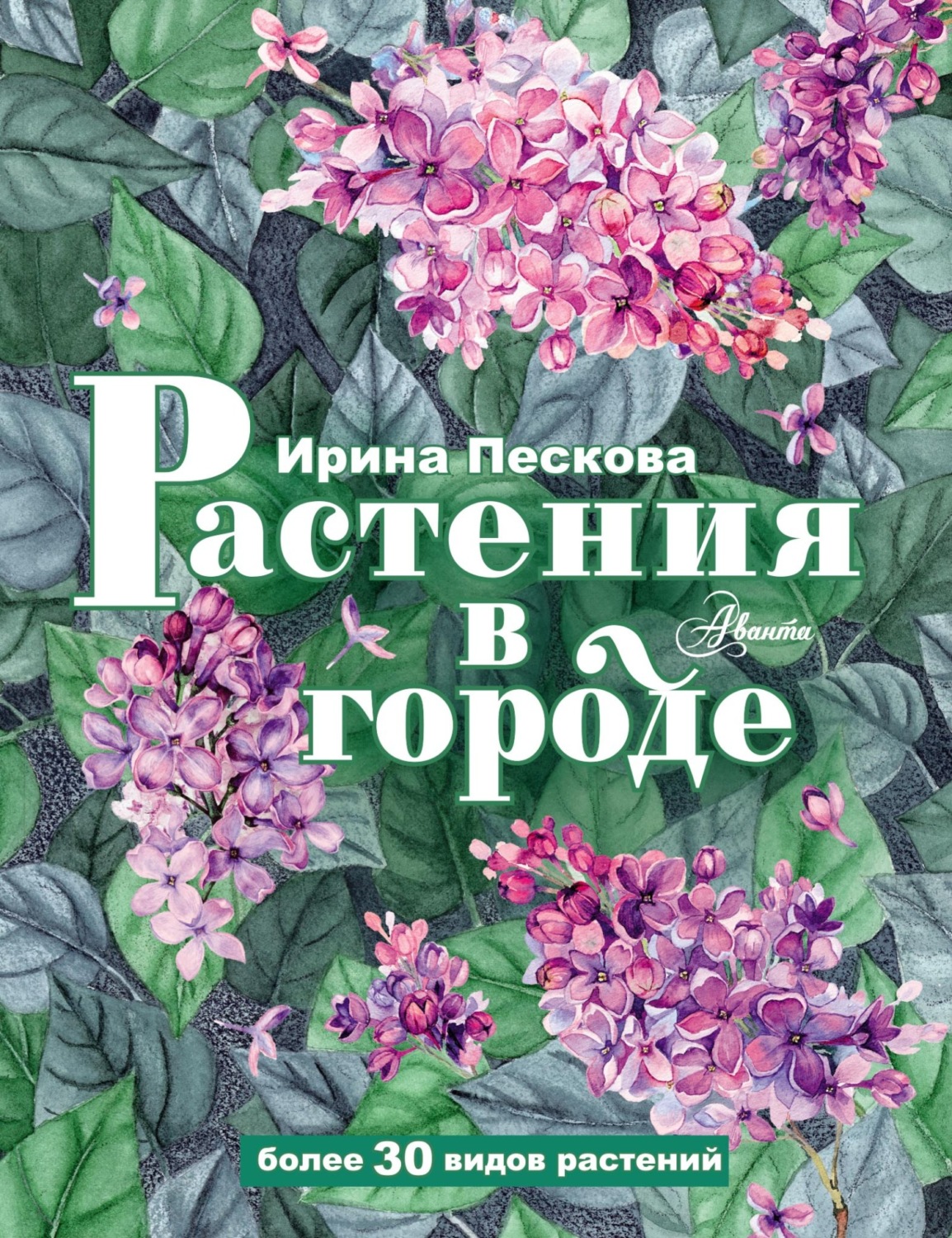 Обложка книги «Растения в городе»
