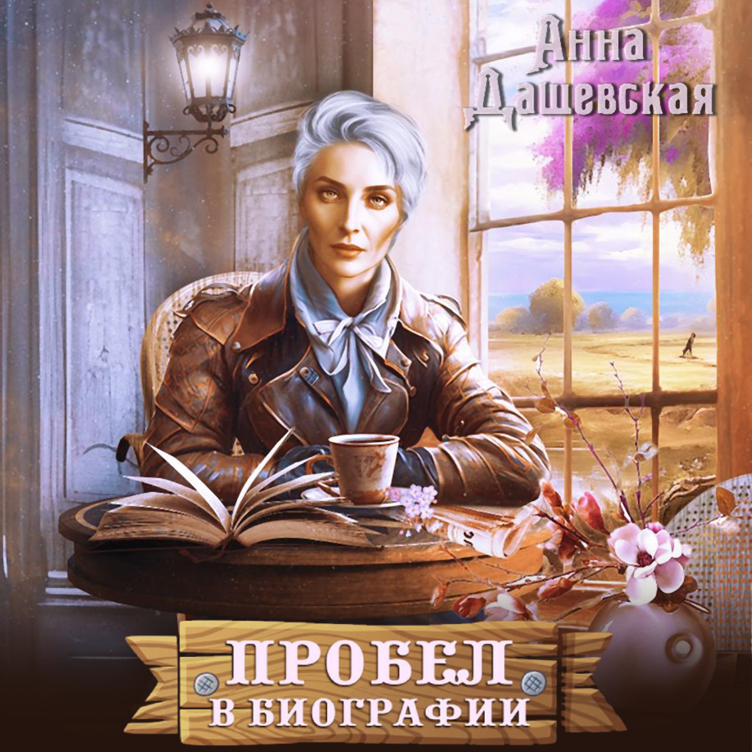 Обложка книги «Пробел в биографии»