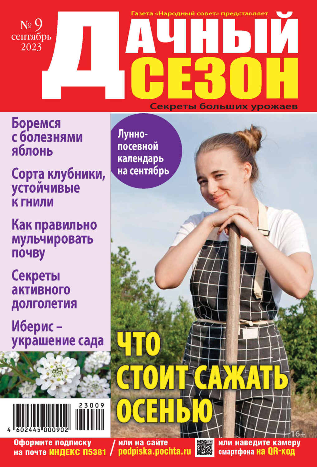 Обложка книги «Дачный сезон №09/2023»
