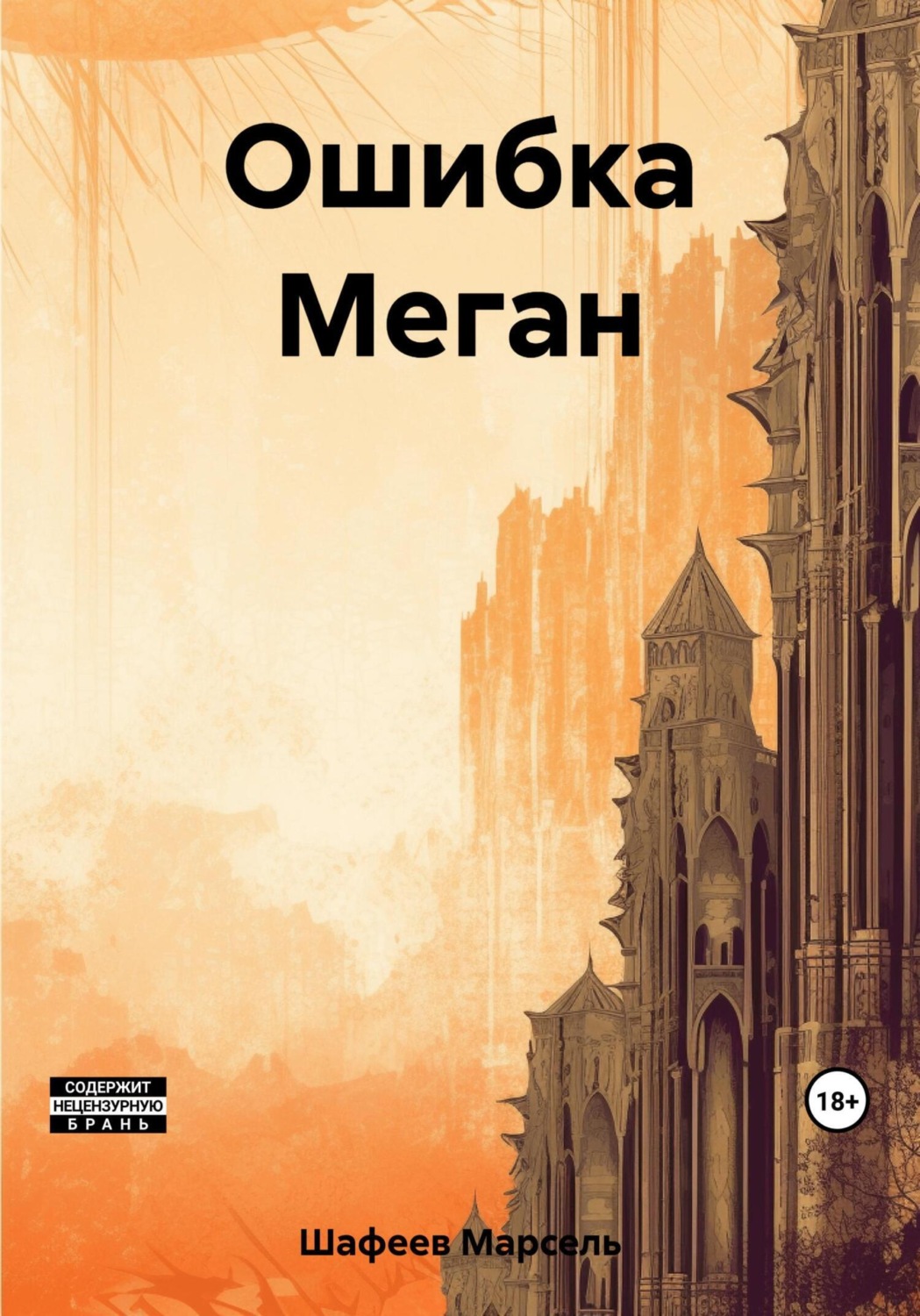 Обложка книги «Ошибка Меган»