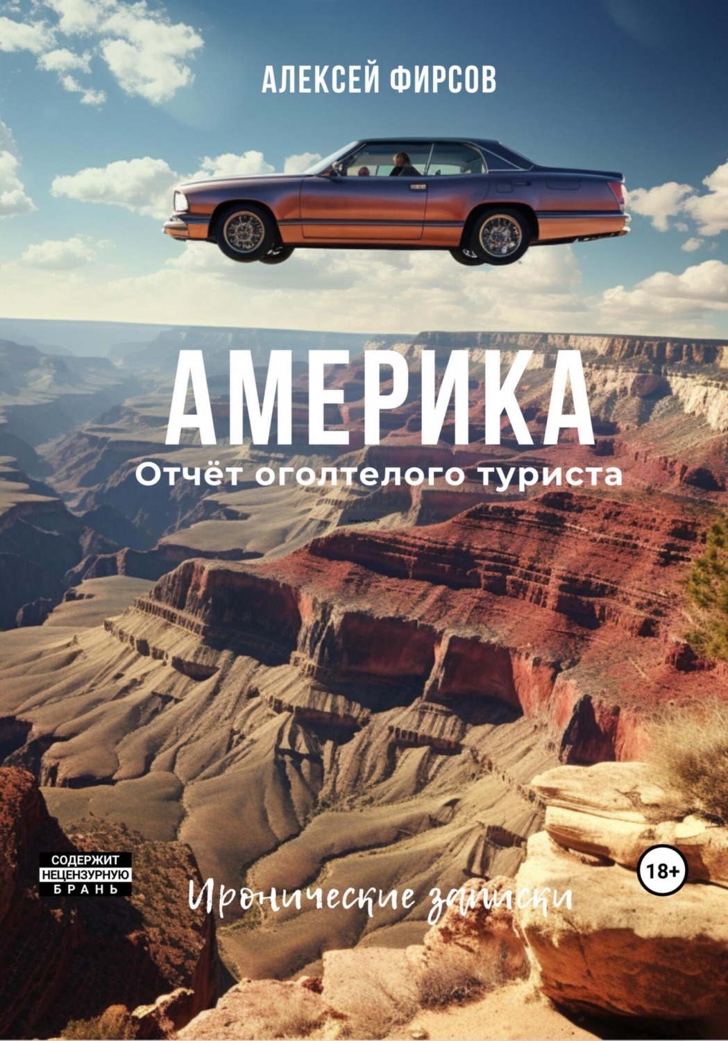 Обложка книги «Америка. Отчет оголтелого туриста. Иронические записки»