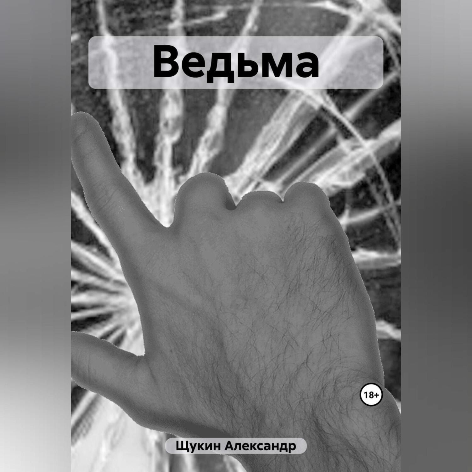 Обложка книги «Ведьма»