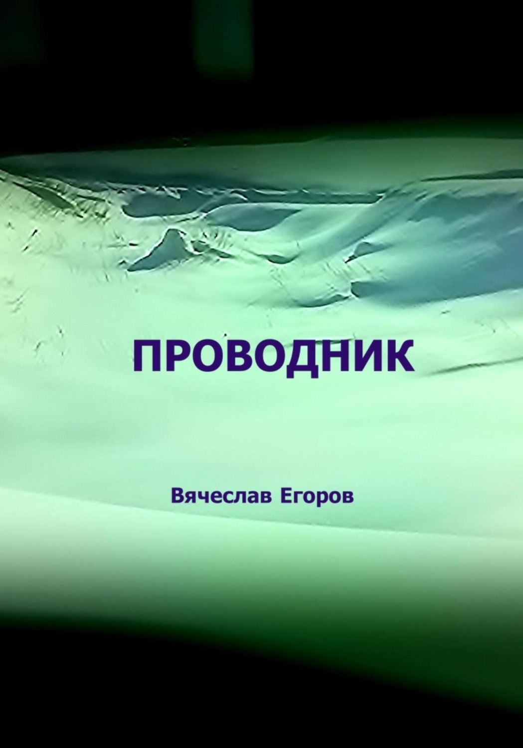 Обложка книги «Проводник»