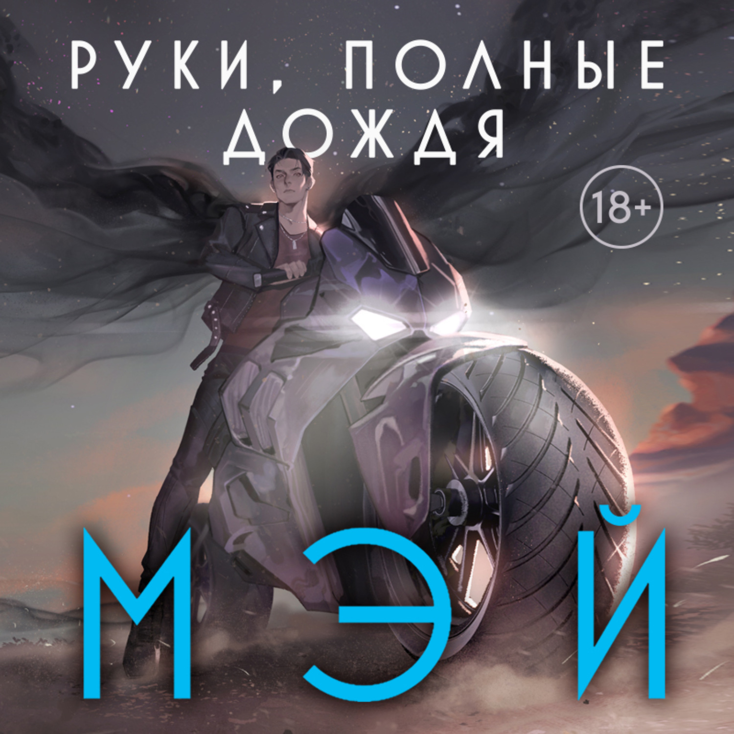Обложка книги «Руки, полные дождя»