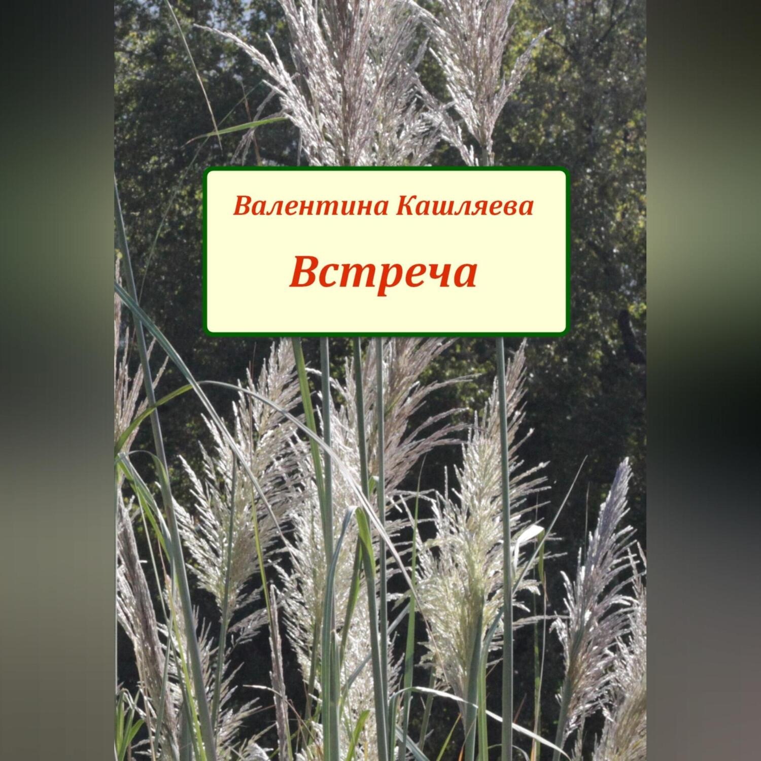 Обложка книги «Встреча»