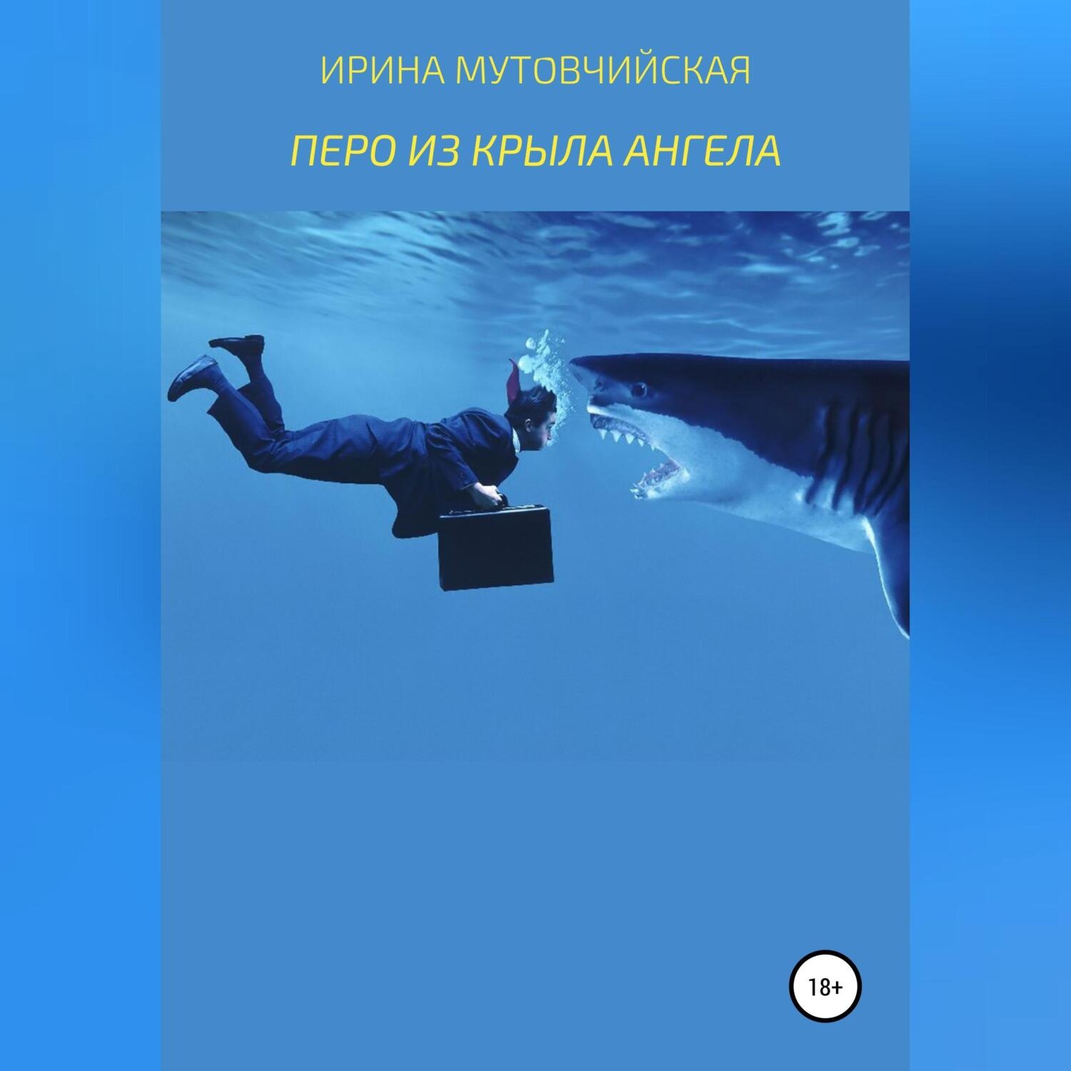 Обложка книги «Перо из крыла ангела»