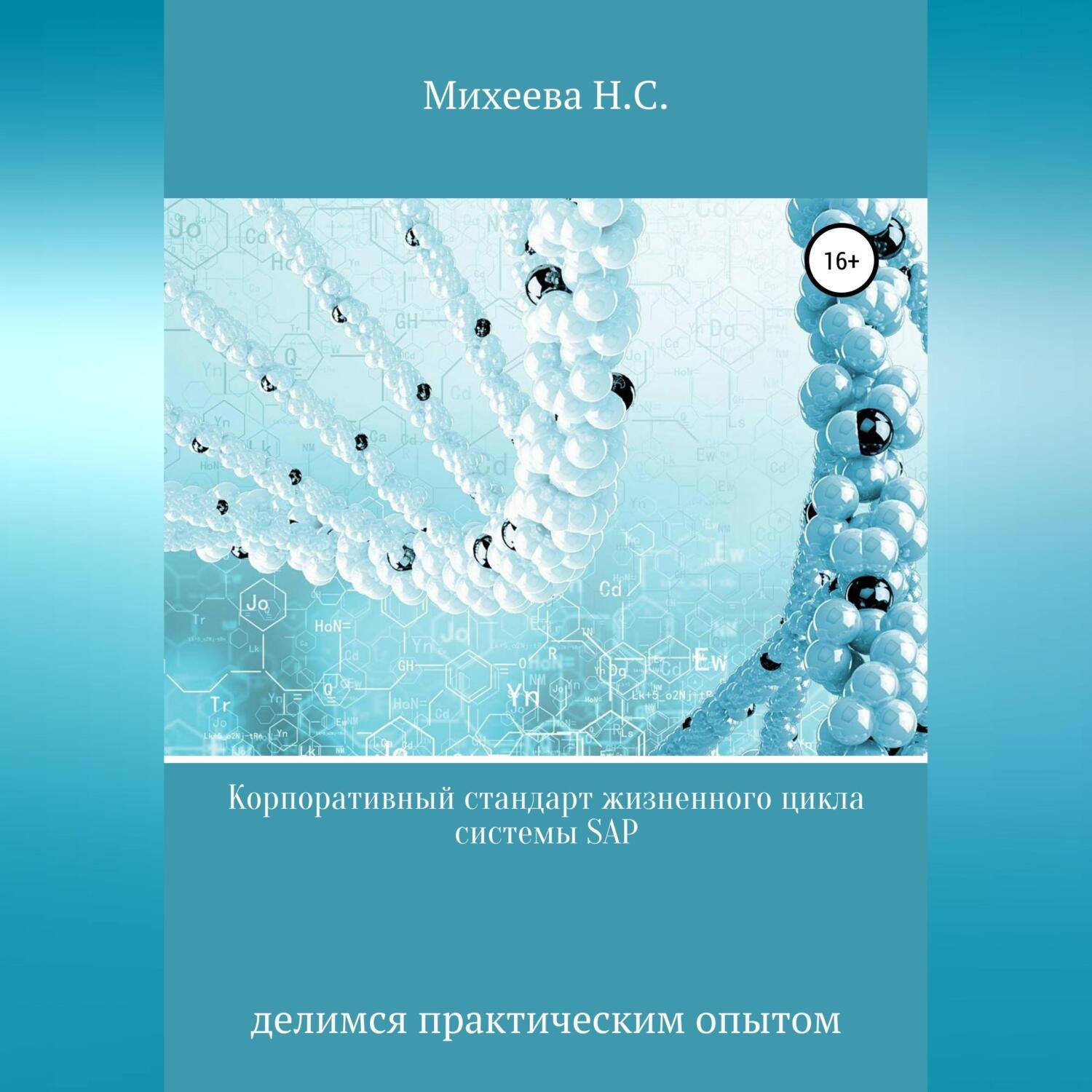 Обложка книги «Корпоративный стандарт жизненного цикла системы SAP»