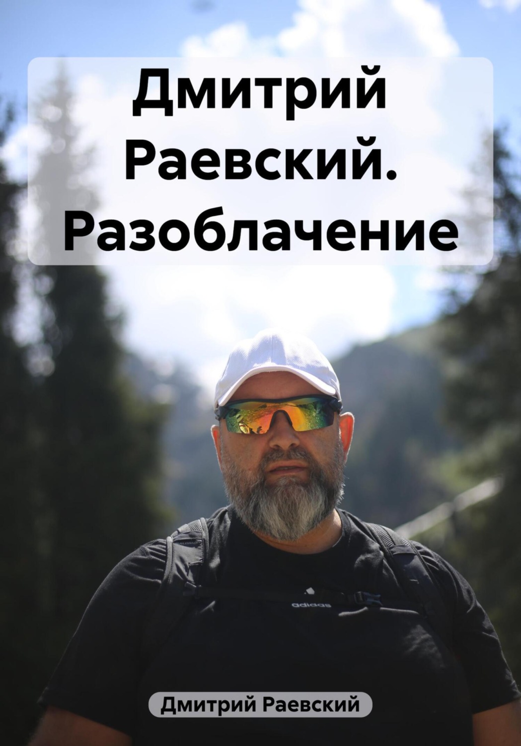 Обложка книги «Дмитрий Раевский. Разоблачение»