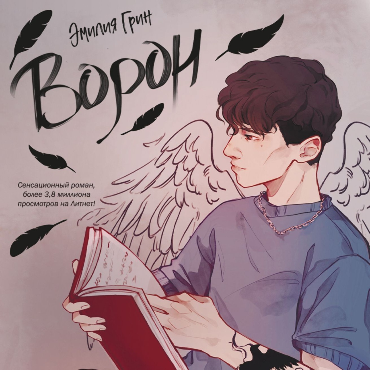 Обложка книги «Ворон»