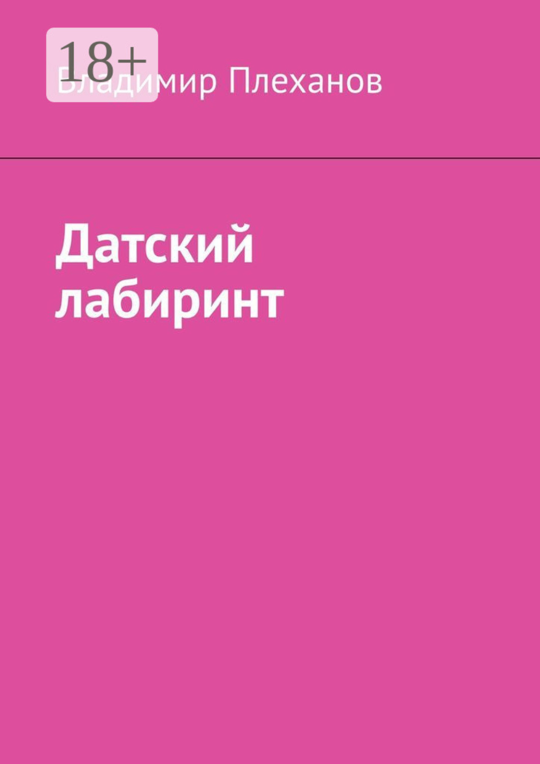 Обложка книги «Датский лабиринт»