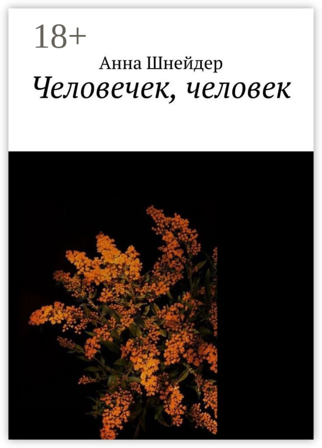 Обложка книги «Человечек, человек»