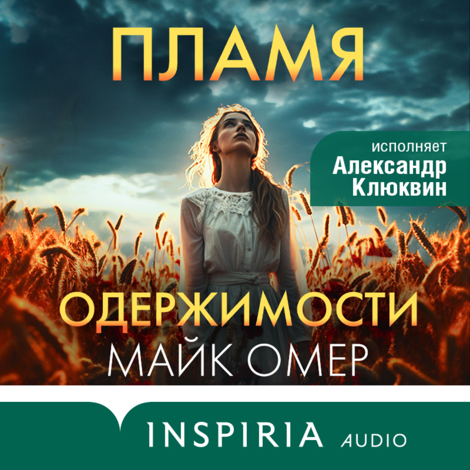 Обложка книги «Пламя одержимости»