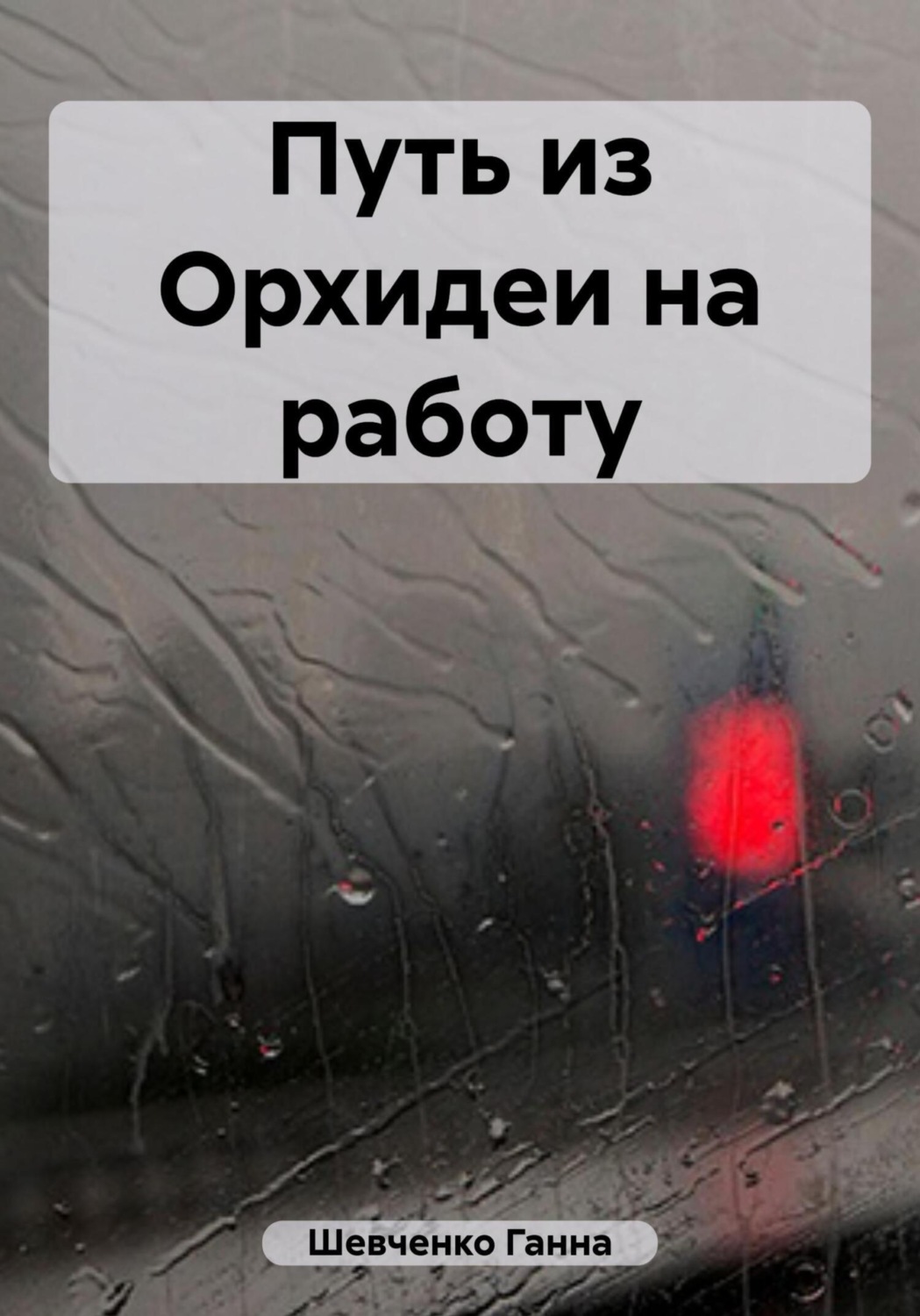Обложка книги «Путь из Орхидеи на работу»