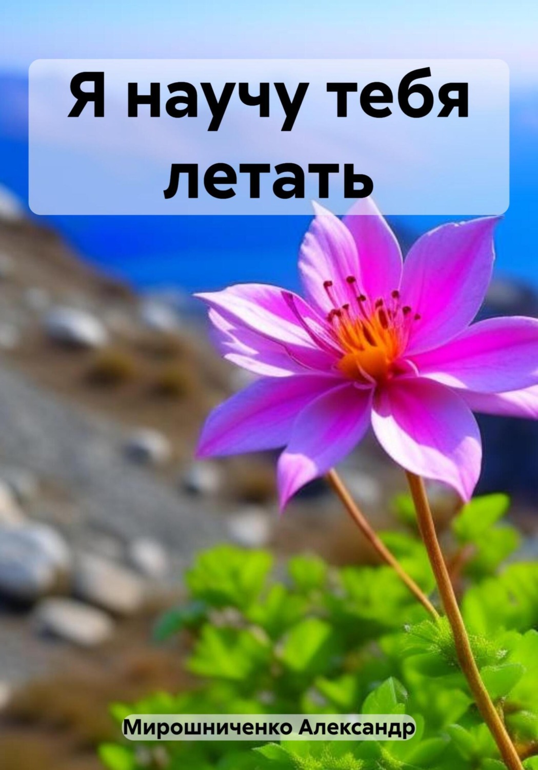 Обложка книги «Я научу тебя летать»