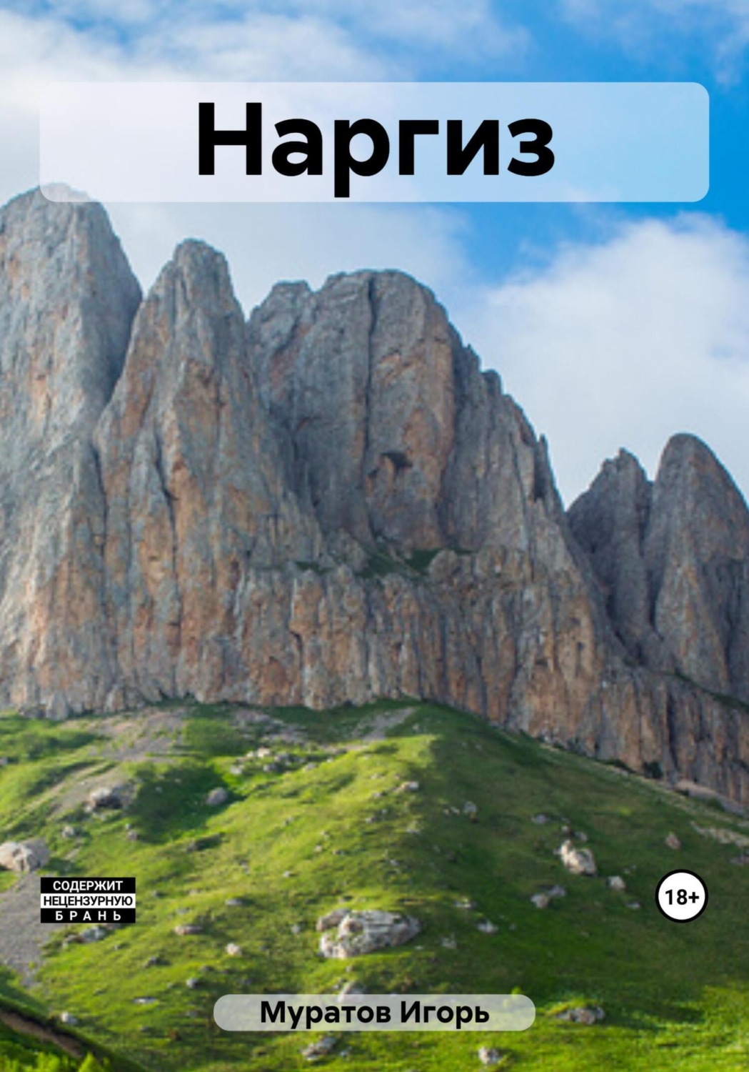 Обложка книги «Наргиз»