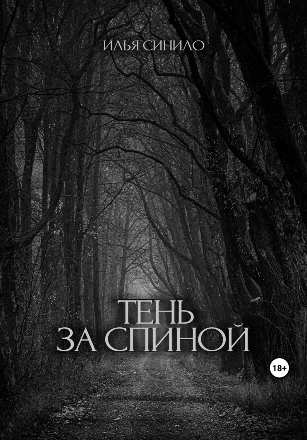Обложка книги «Тень за спиной»