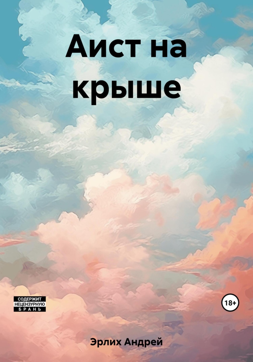 Обложка книги «Аист на крыше»