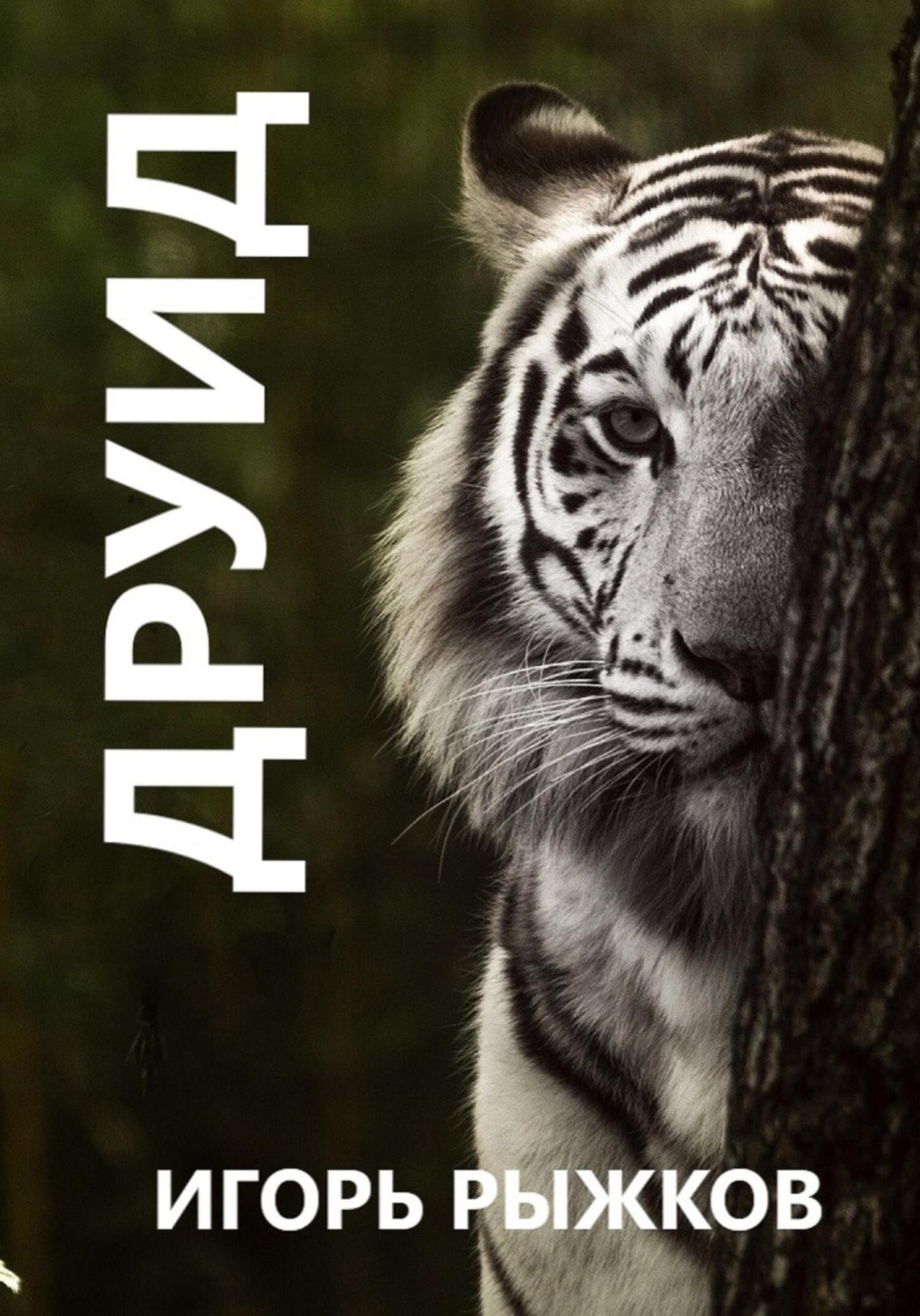 Обложка книги «Друид»