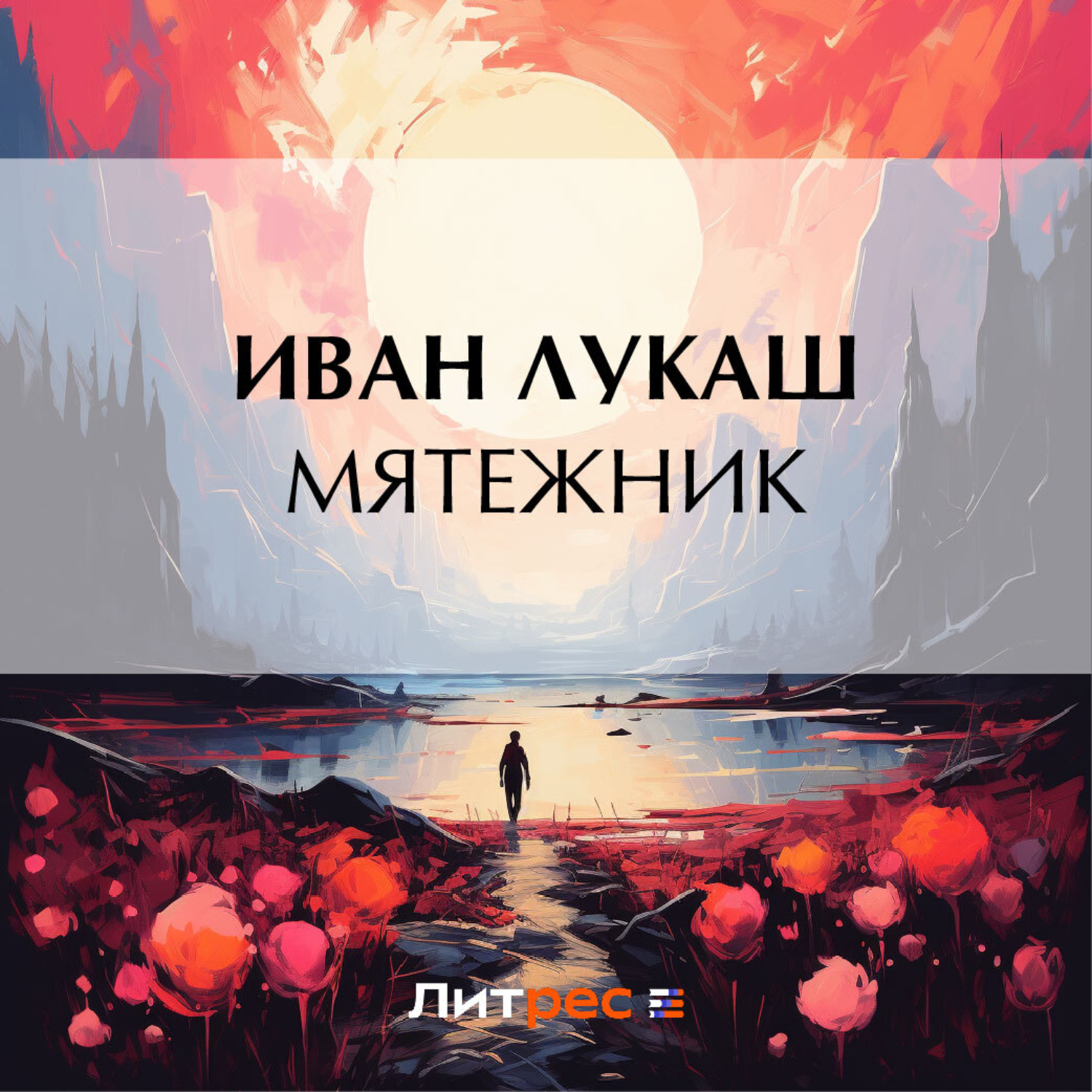 Обложка книги «Мятежник»