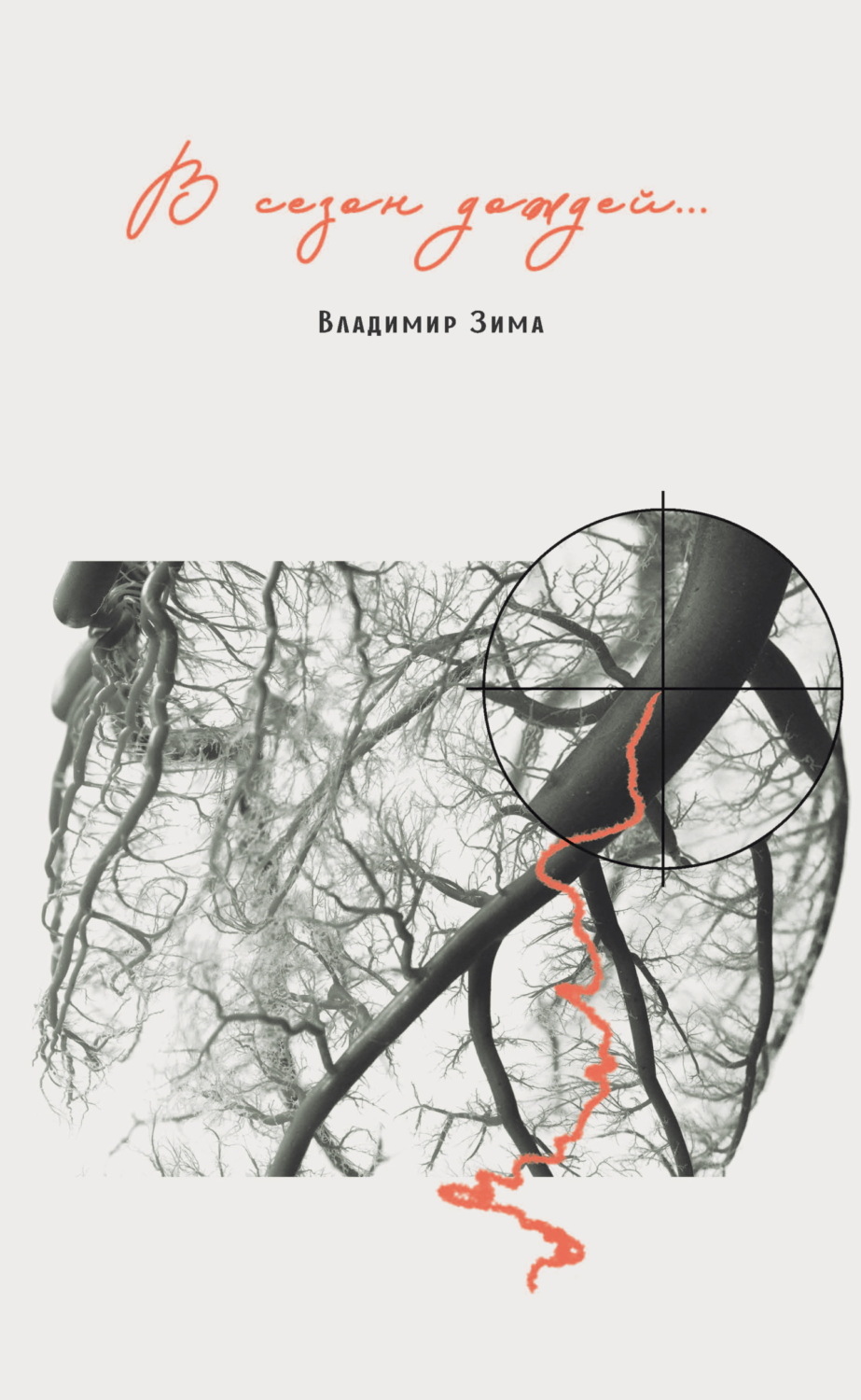Обложка книги «В сезон дождей…»