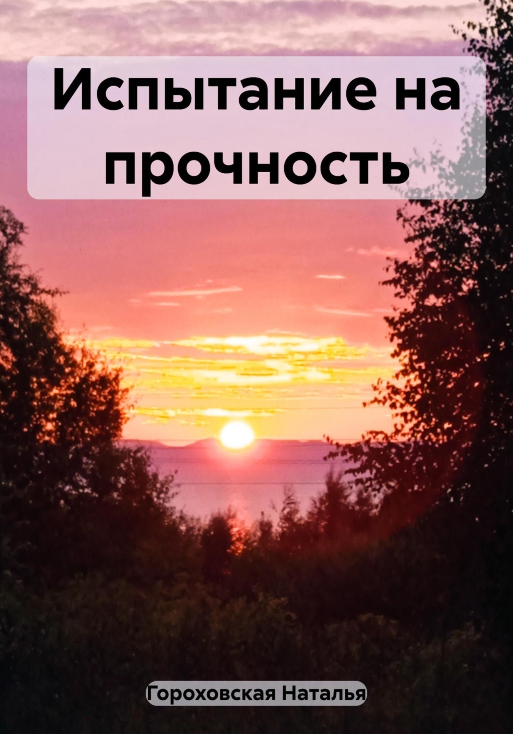 Обложка книги «Испытание на прочность»