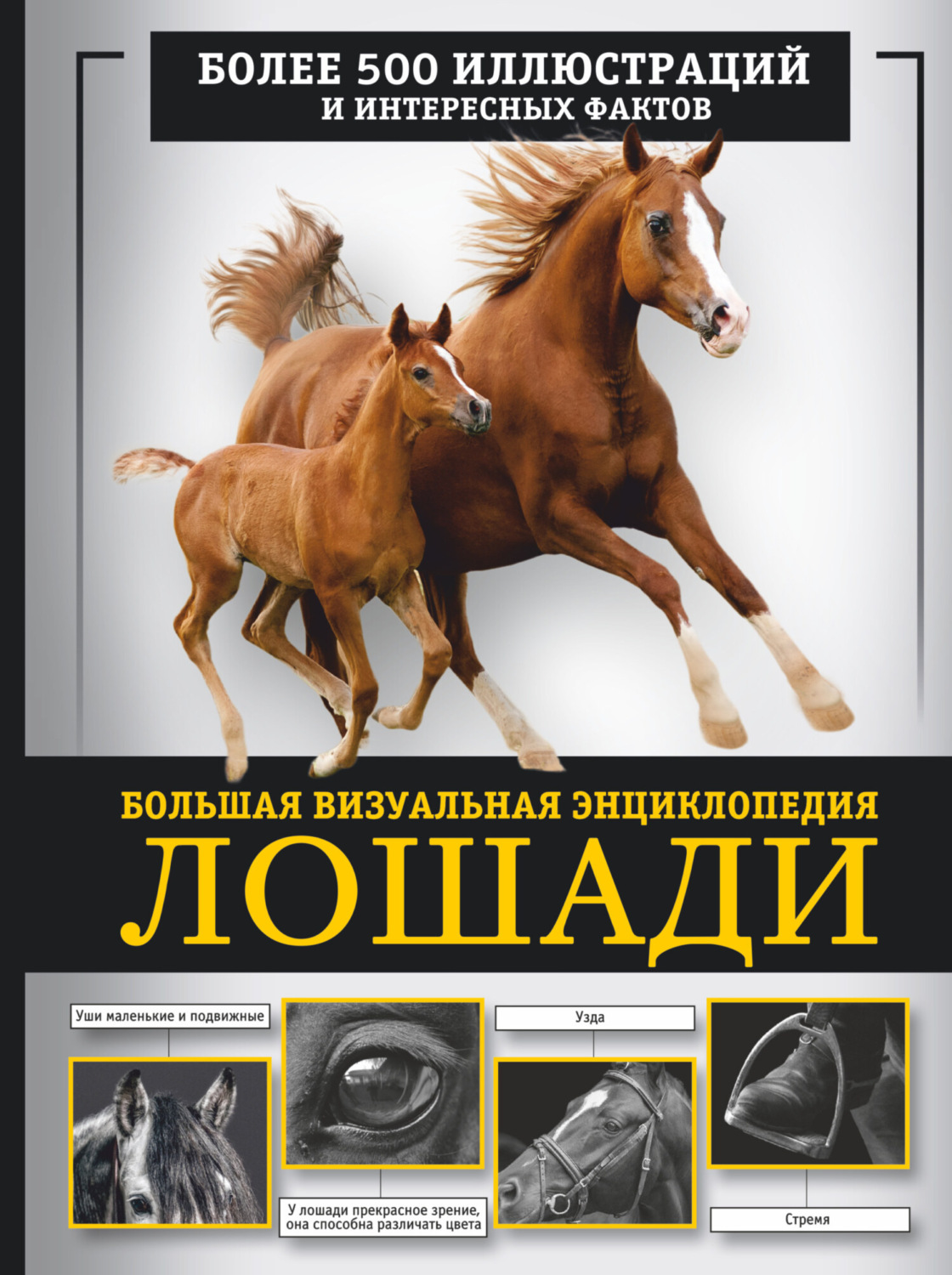 Обложка книги «Лошади. Большая визуальная энциклопедия»