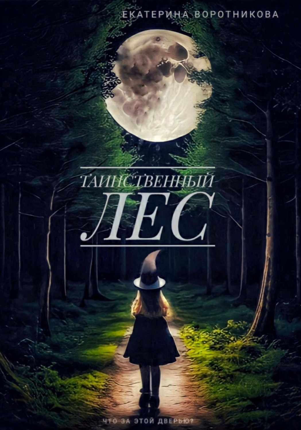 Обложка книги «Таинственный лес»
