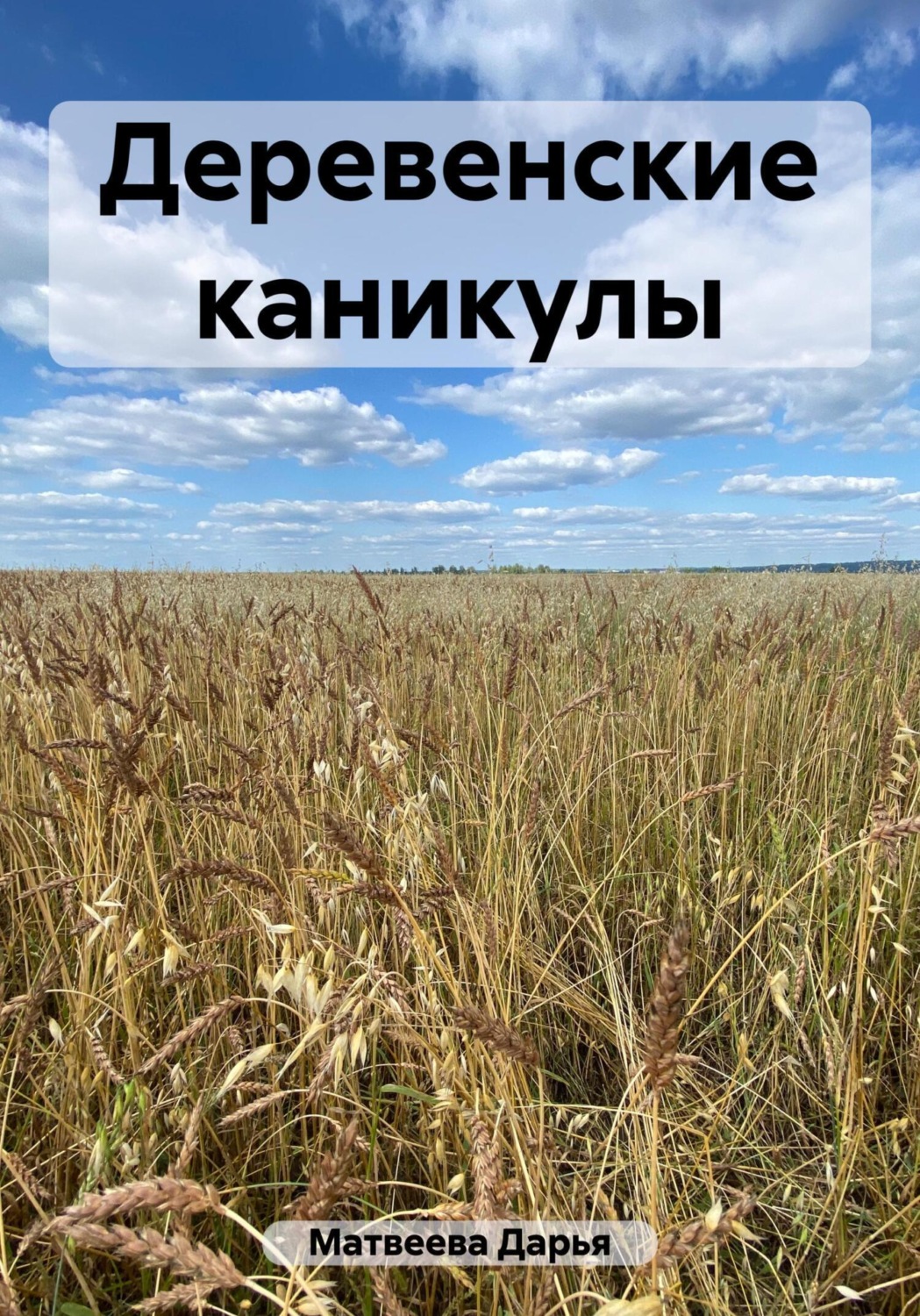 Обложка книги «Деревенские каникулы»