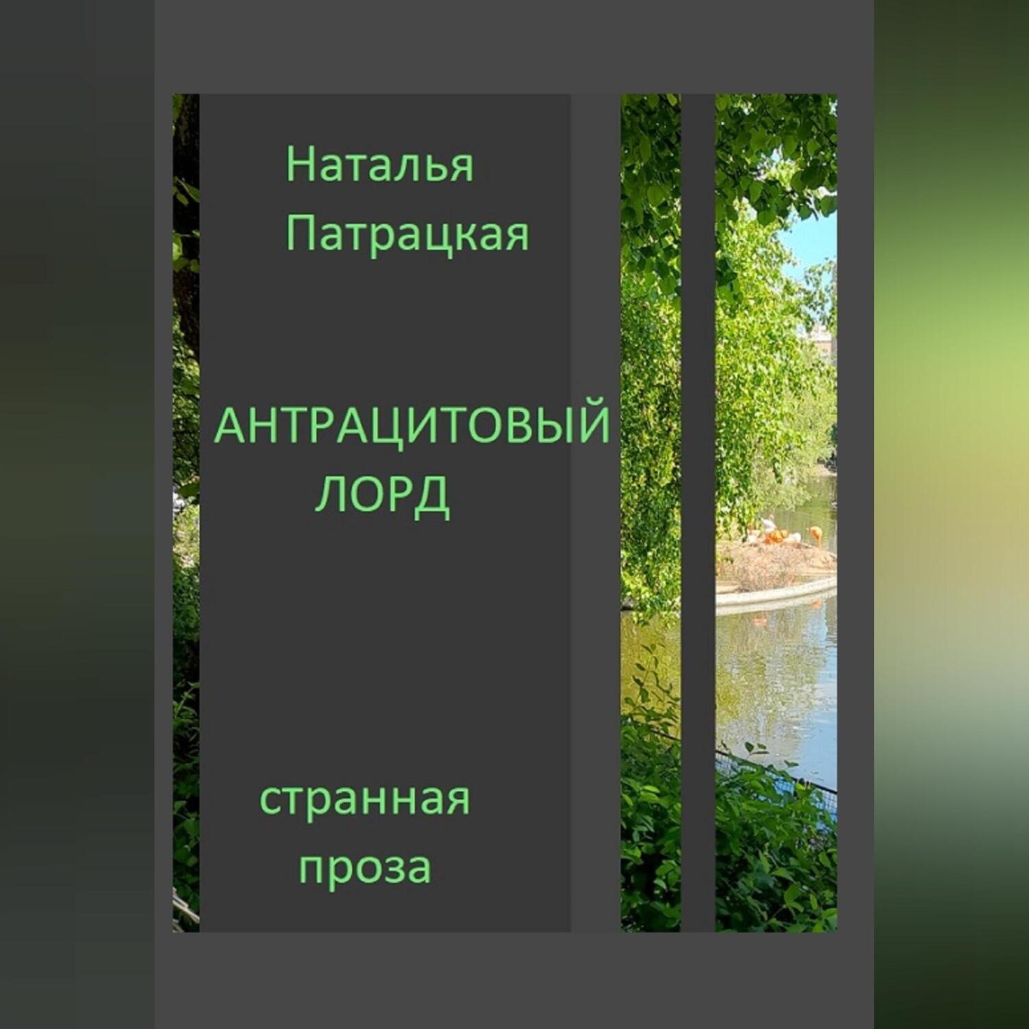 Обложка книги «Антрацитовый лорд»