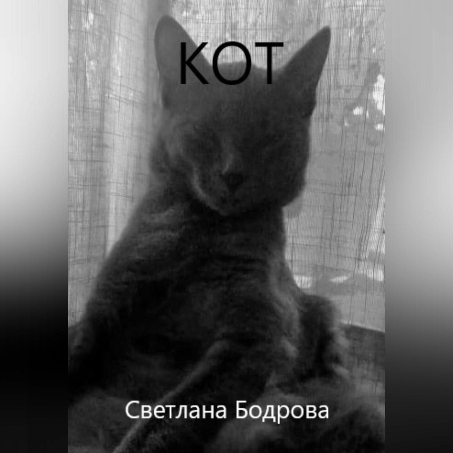 Обложка книги «Кот»