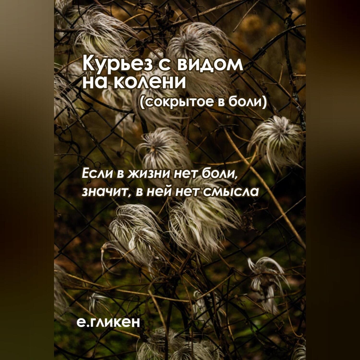 Обложка книги «Курьез с видом на колени (сокрытое в боли)»