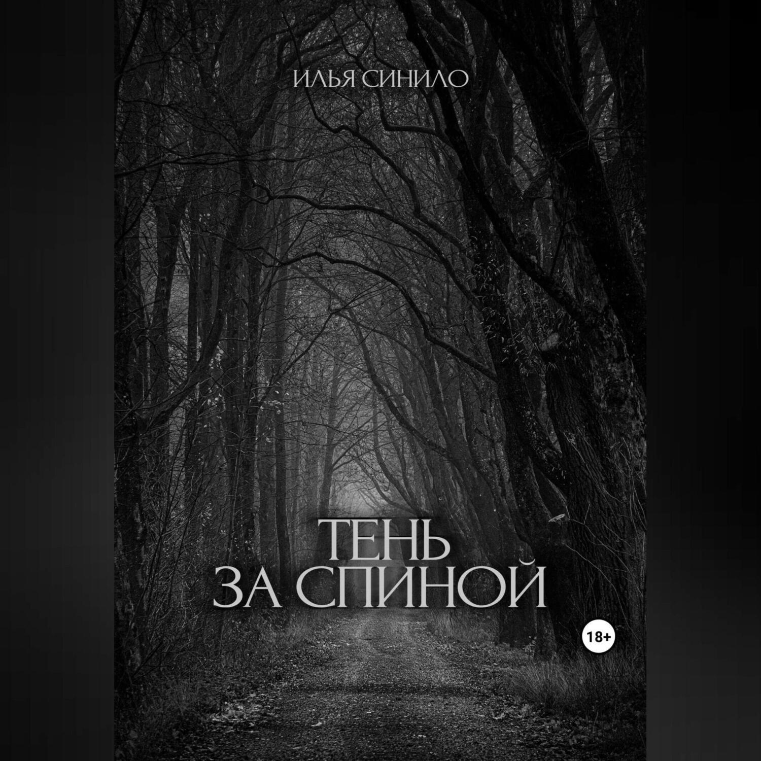 Обложка книги «Тень за спиной»