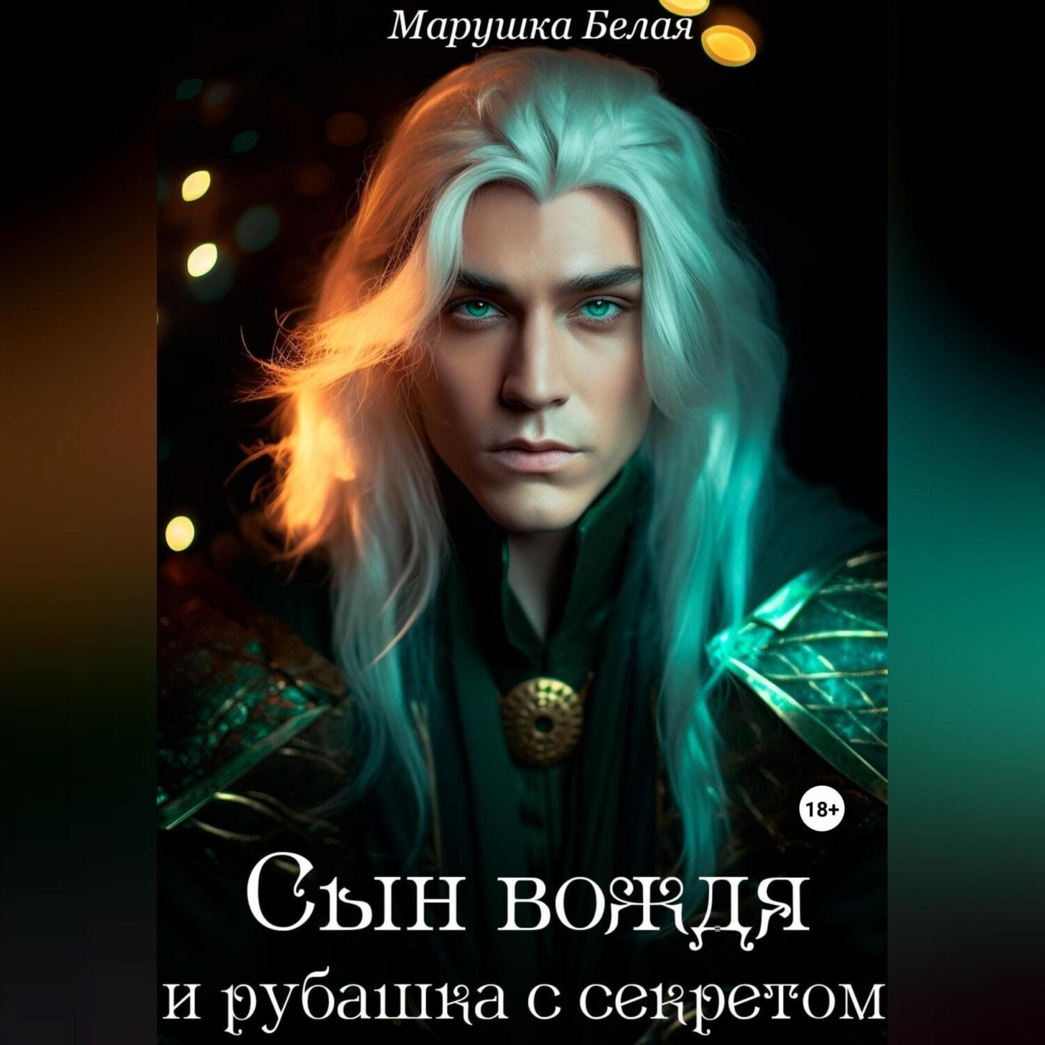 Обложка книги «Сын вождя и рубашка с секретом»