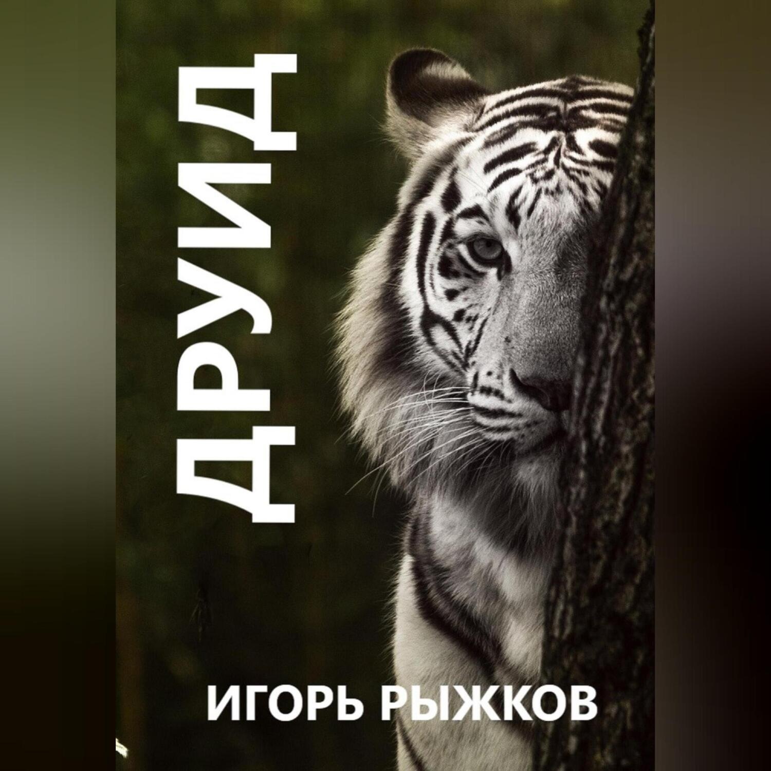 Обложка книги «Друид»