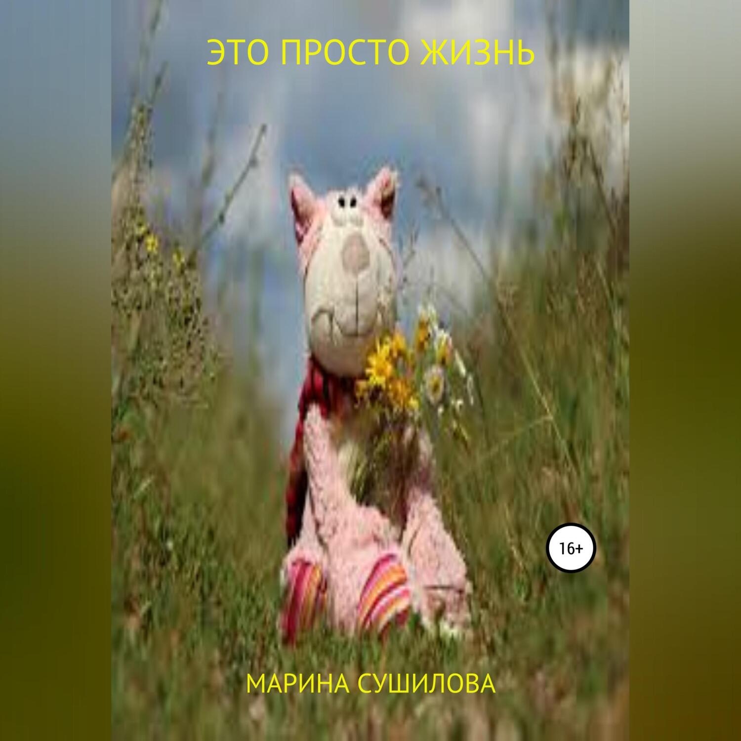 Обложка книги «Это просто жизнь»