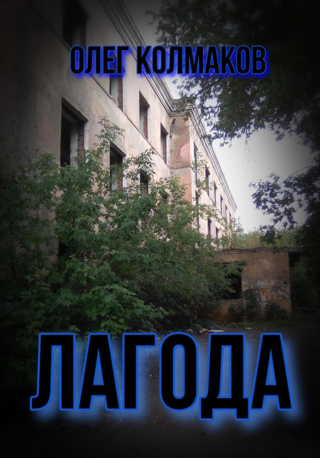 Обложка книги «Лагода»