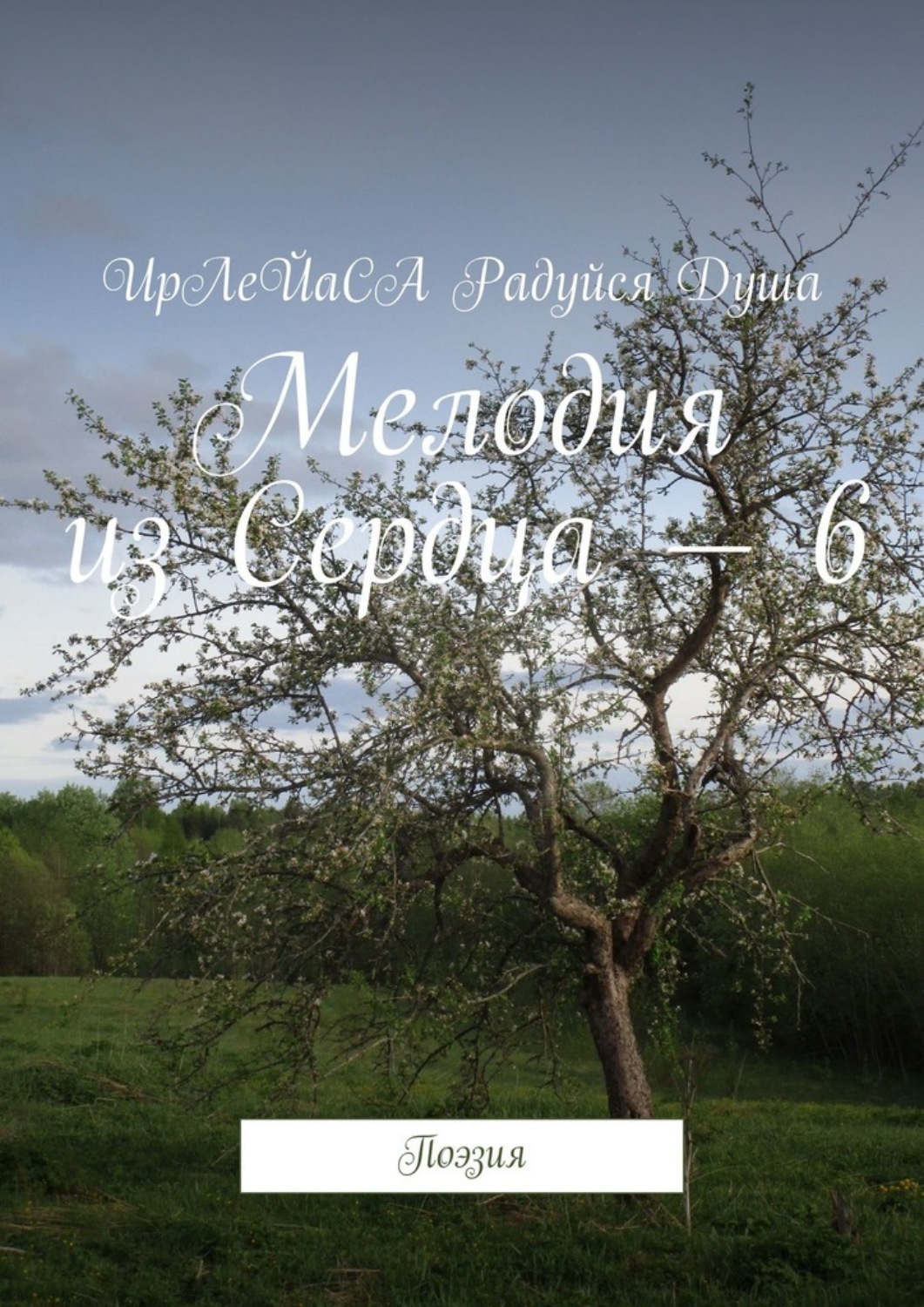 Обложка книги «Мелодия из Сердца – 6. Поэзия»