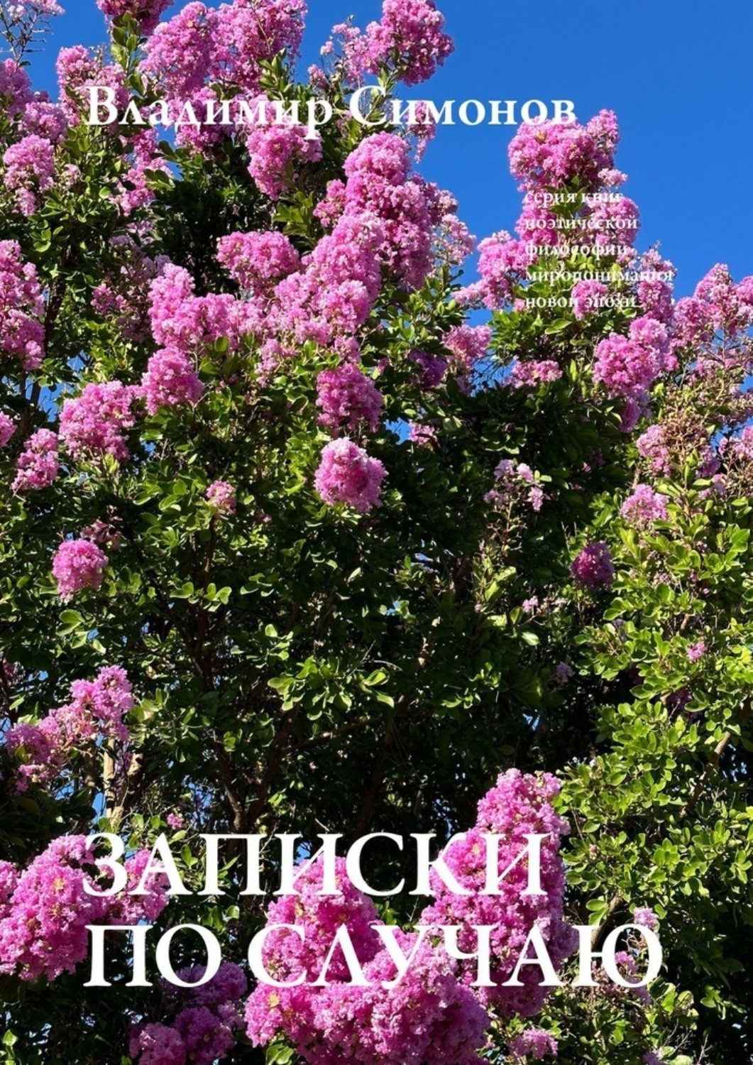 Обложка книги «Записки по cлучаю. Серия книг поэтической философии миропонимания новой эпохи»