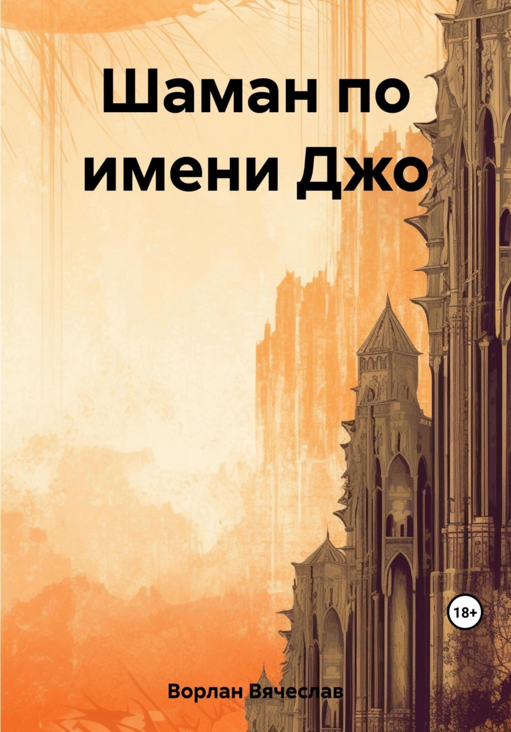 Обложка книги «Шаман по имени Джо»