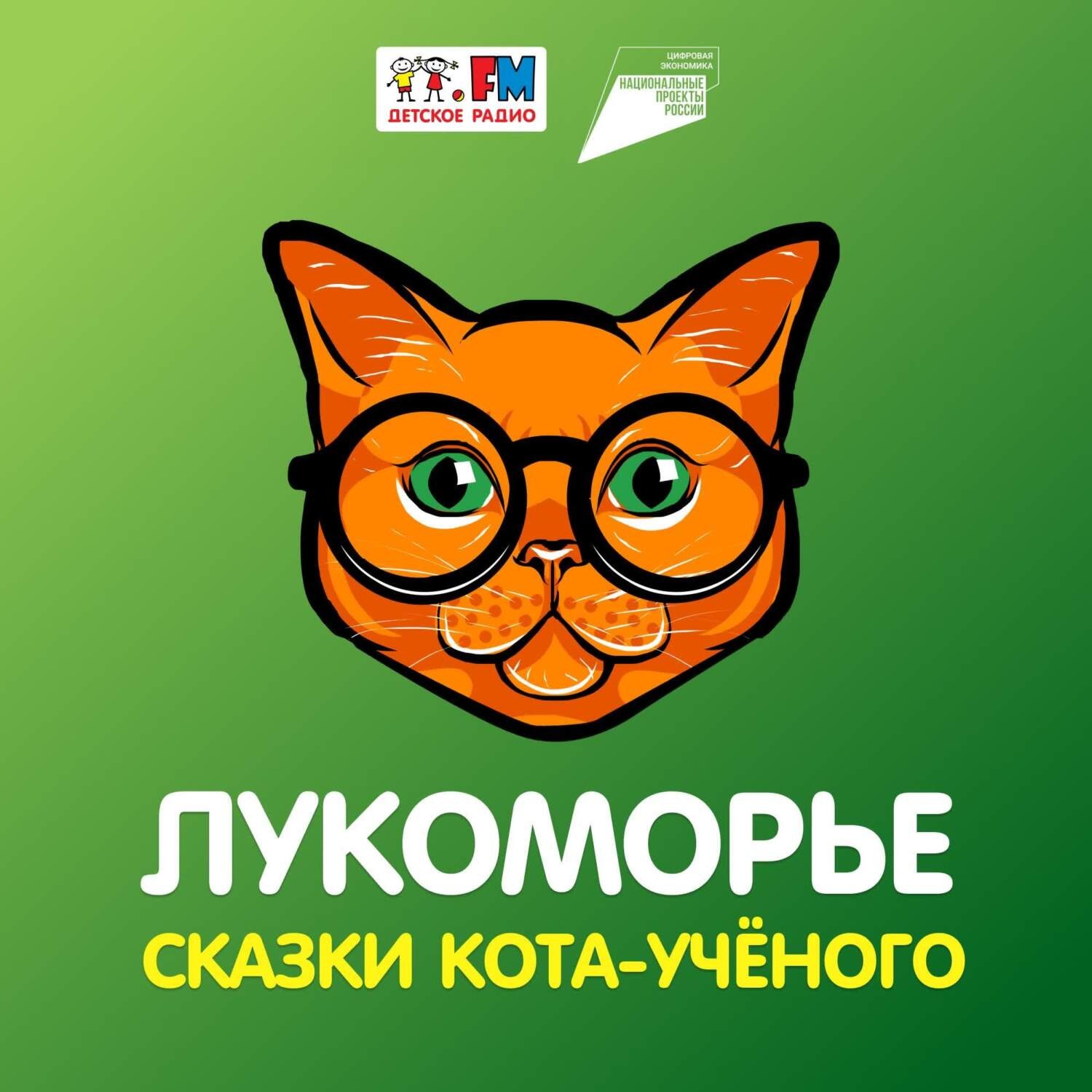 Обложка книги «Лукоморье. Сказки кота-учёного – Личные данные»