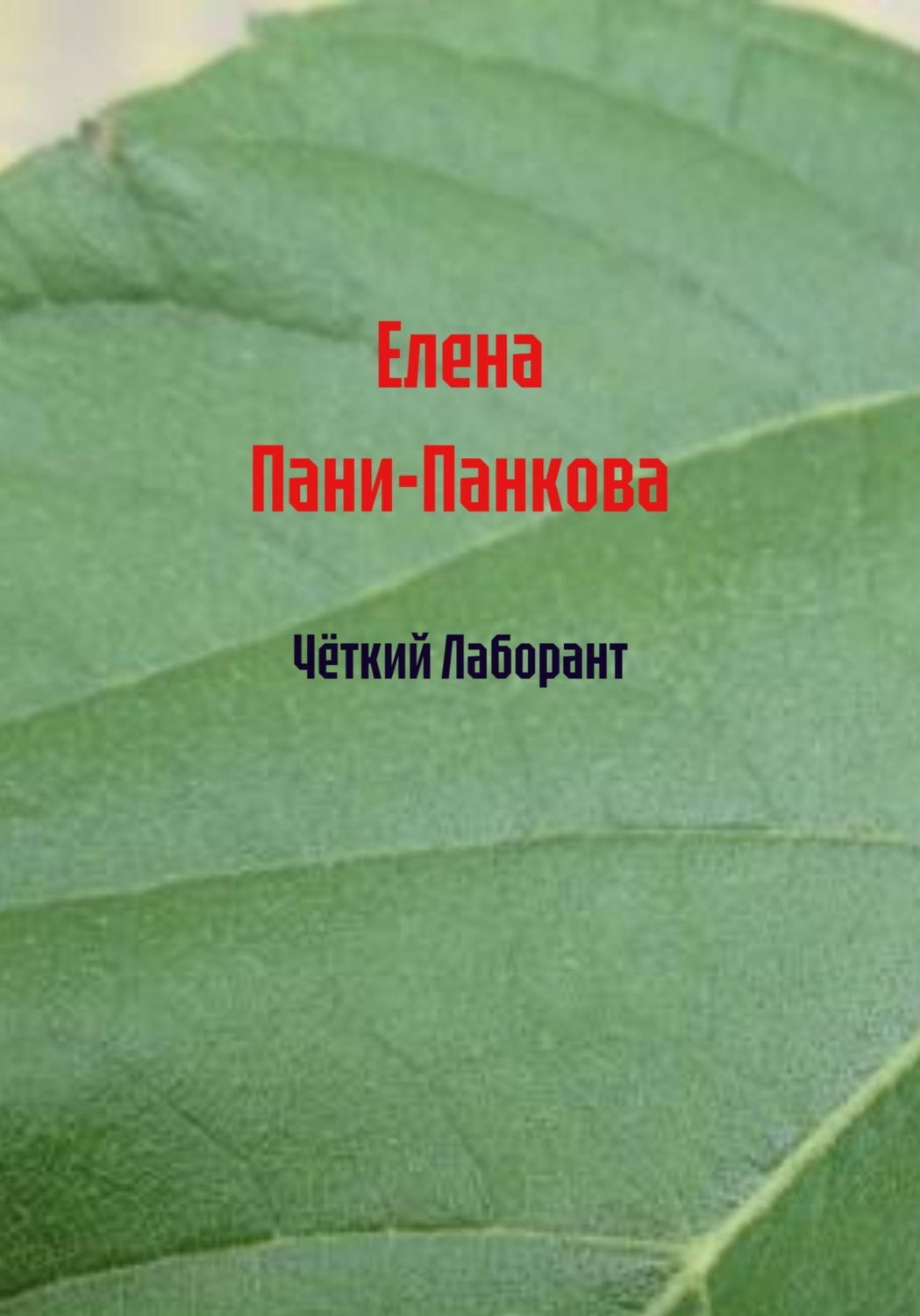 Обложка книги «Чёткий Лаборант»
