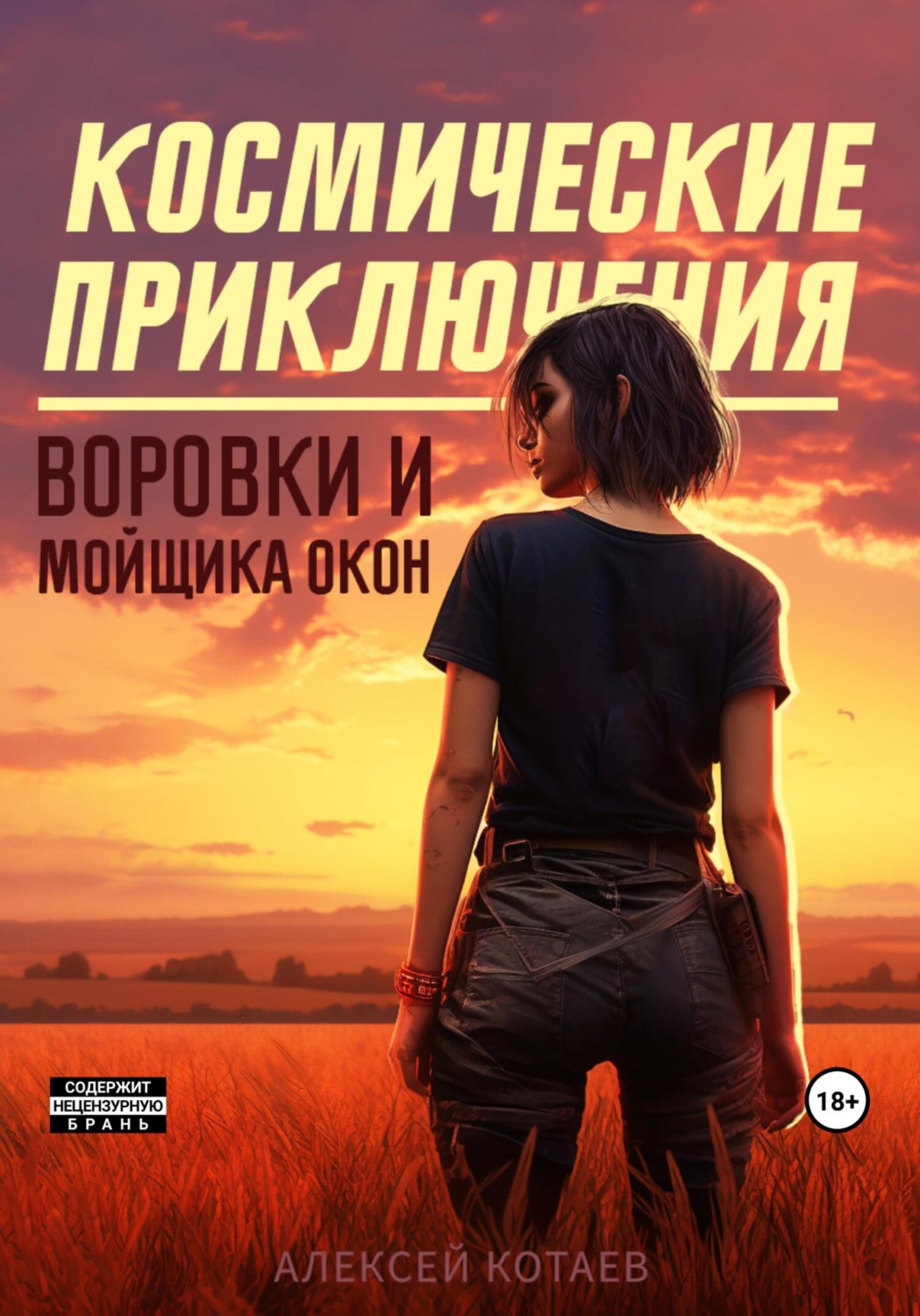 Обложка книги «Космические приключения воровки и мойщика окон»