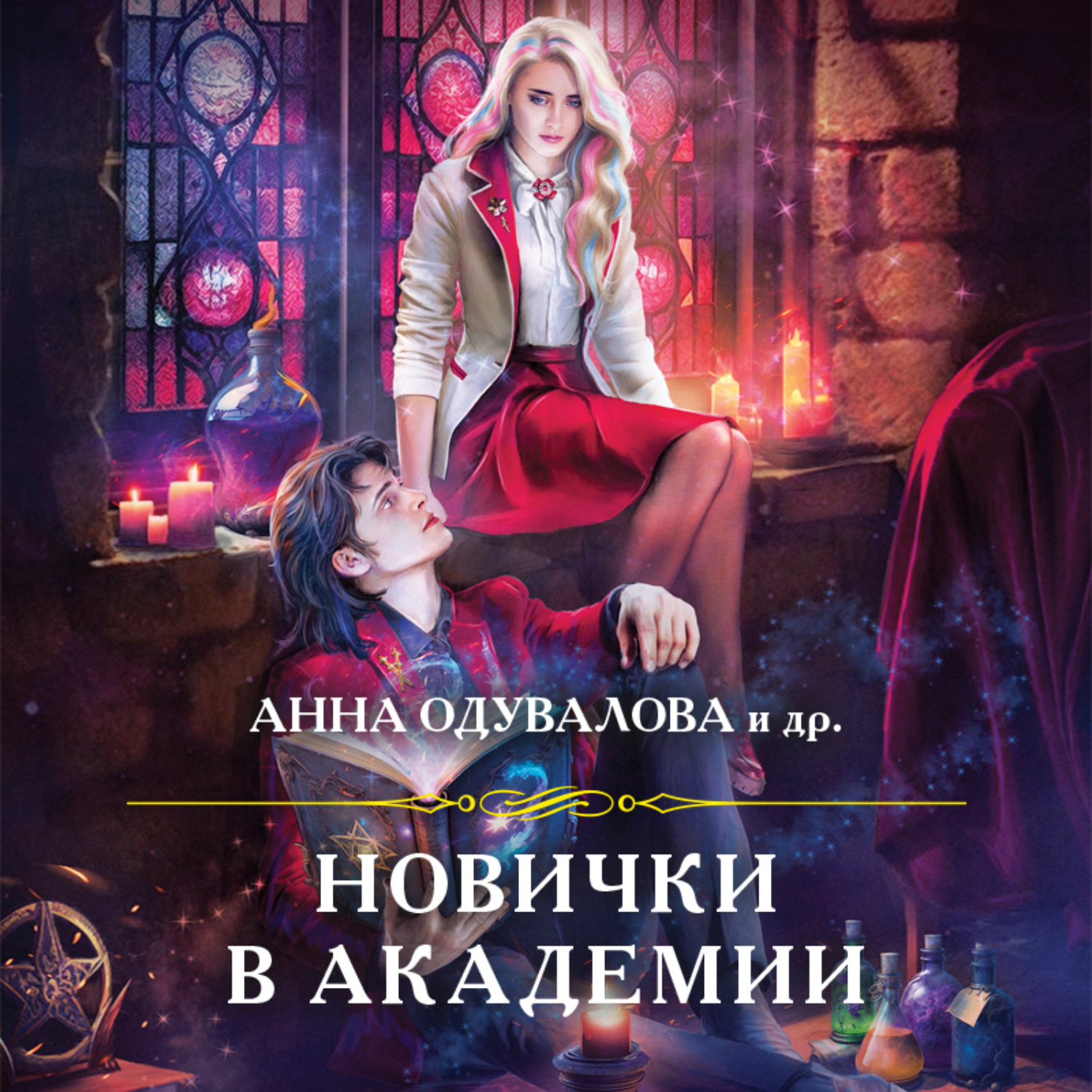 Обложка книги «Новички в академии»
