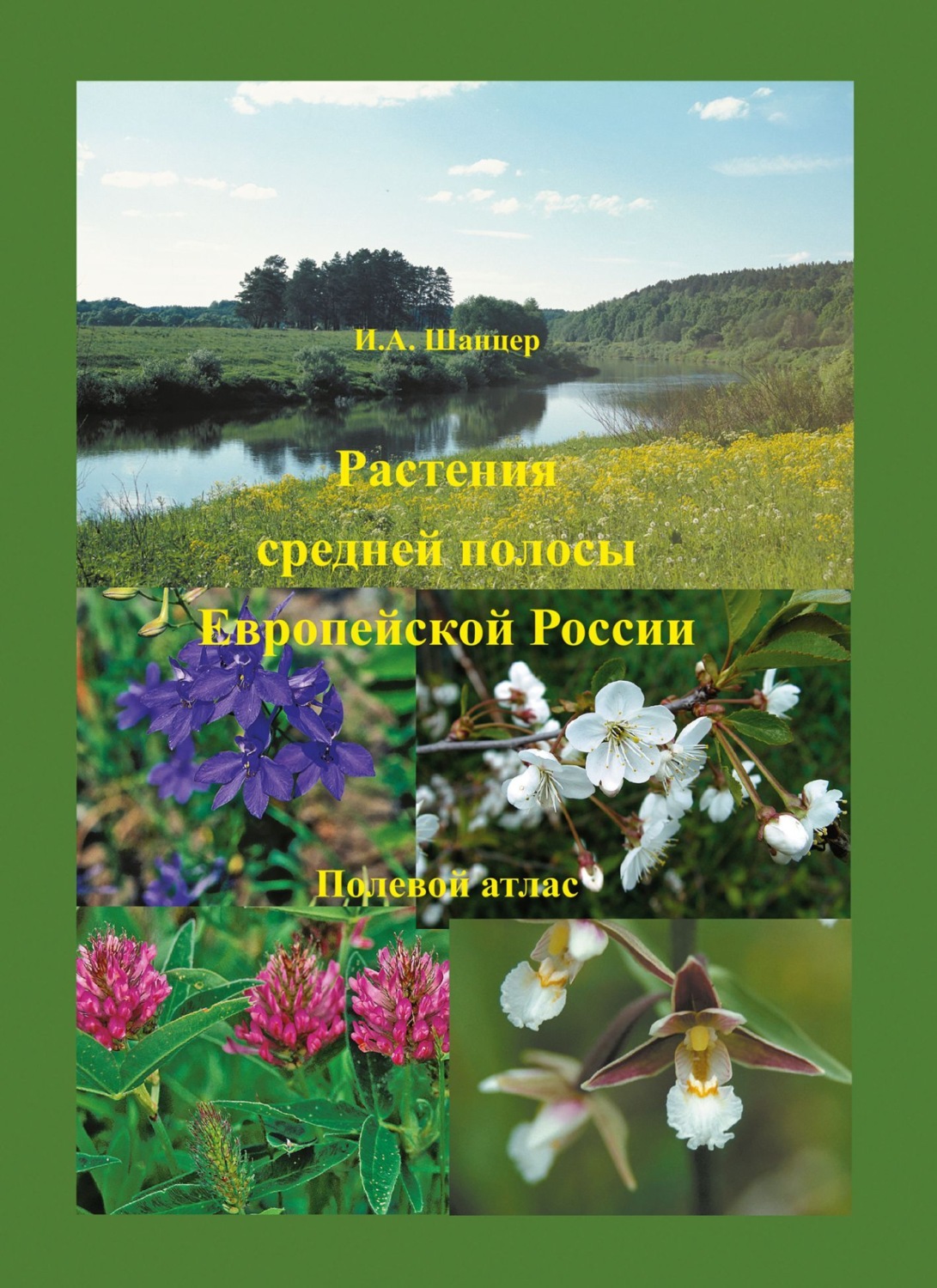Обложка книги «Растения средней полосы Европейской России. Полевой атлас»