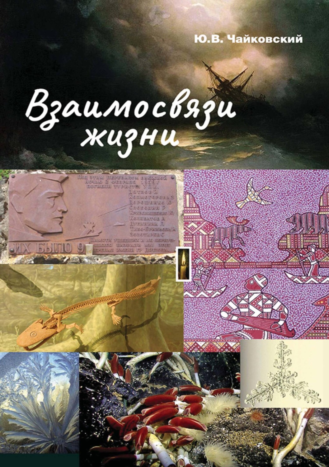 Обложка книги «Взаимосвязи жизни. Миниэнциклопедия дополняет. Том 1. А – П»