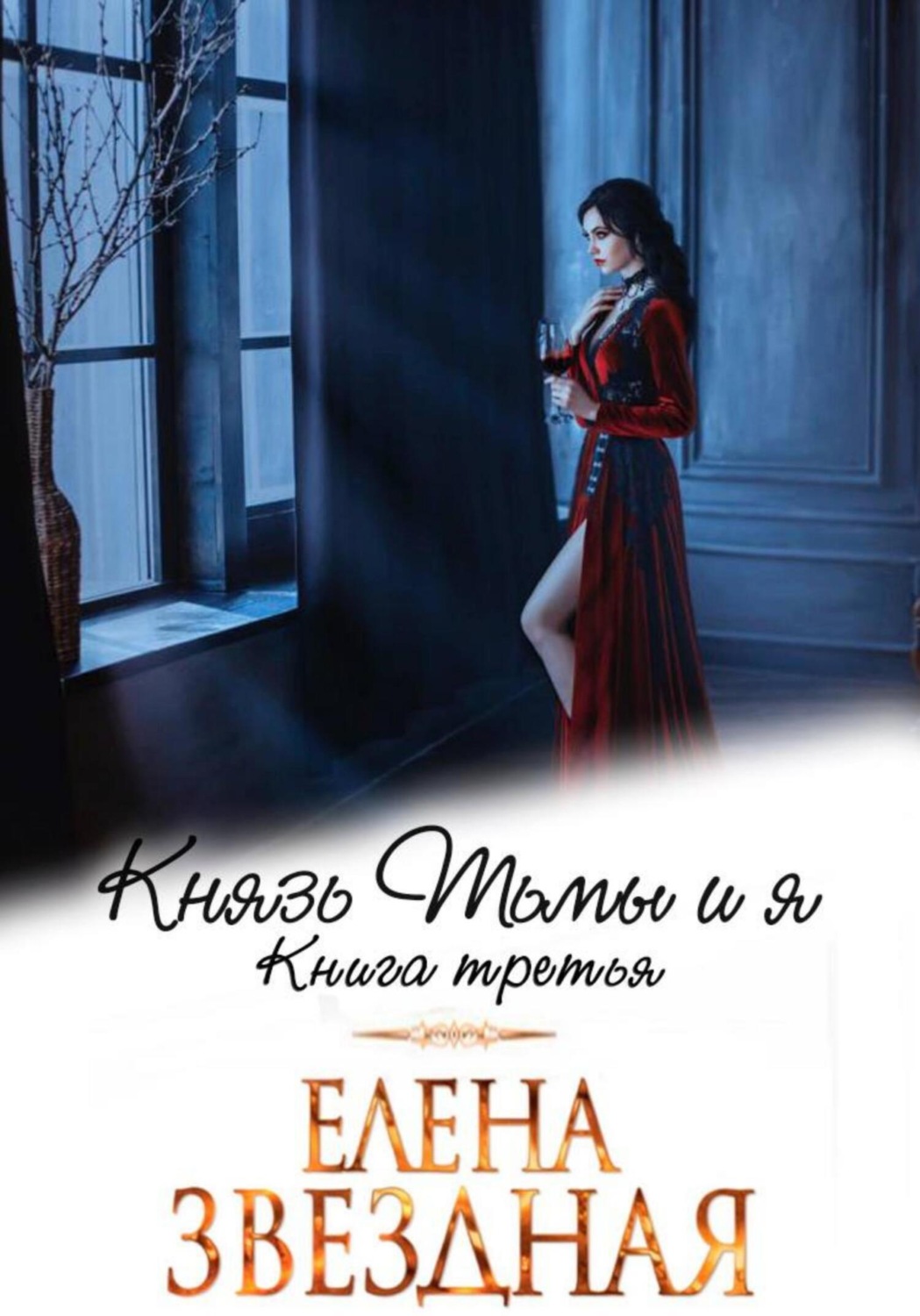 Обложка книги «Князь Тьмы и я. Книга третья»
