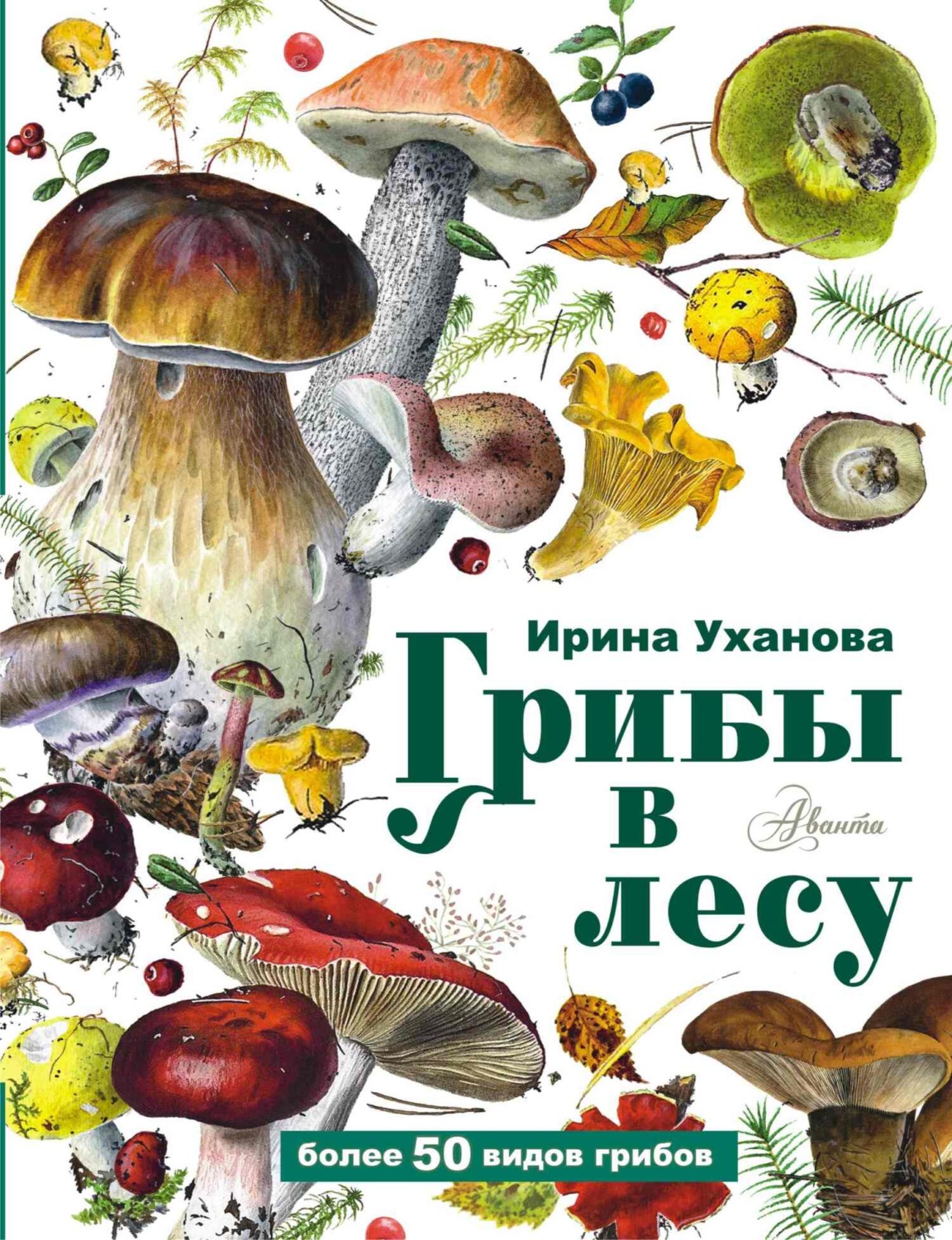 Обложка книги «Грибы в лесу»
