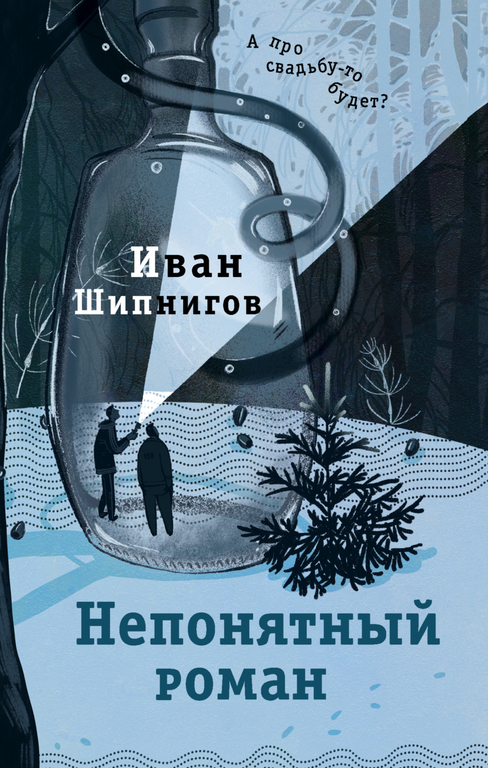 Обложка книги «Непонятный роман»